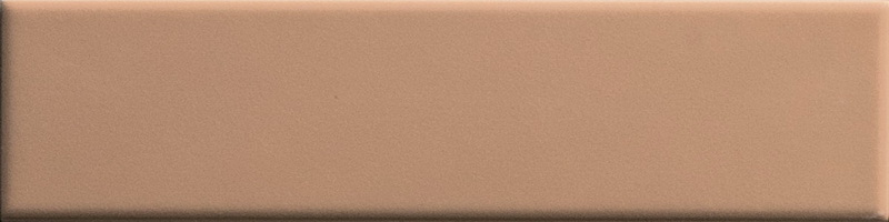 Biscuit Plain Terra 5×20 см