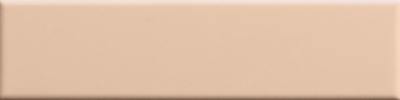 Biscuit Plain Powder 5×20 см