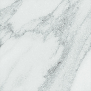 Dandy White