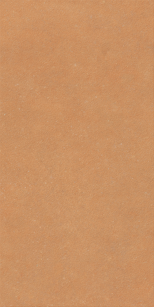 Nok Grains 60x120 Terra