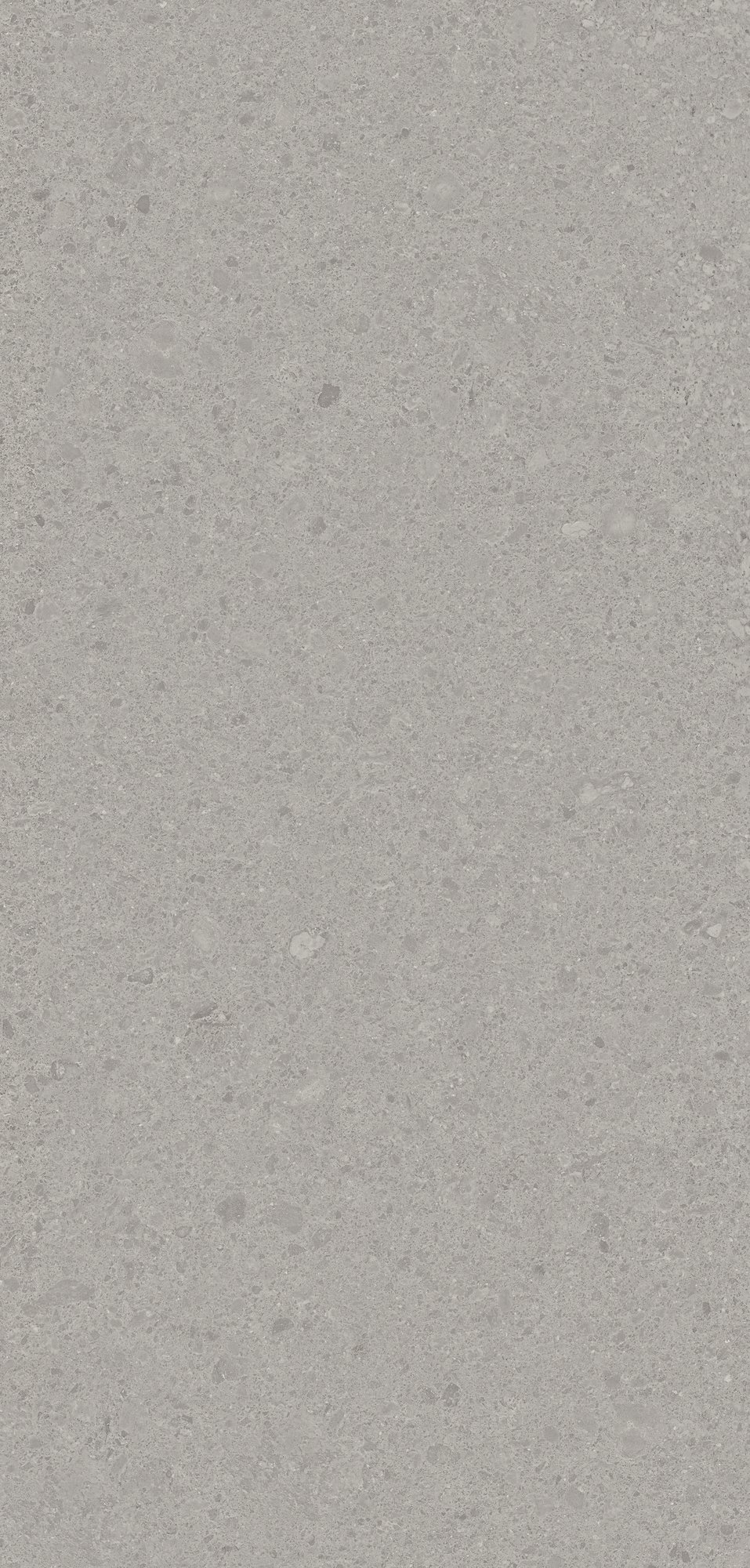 Otto Natural 60x120 Grigio