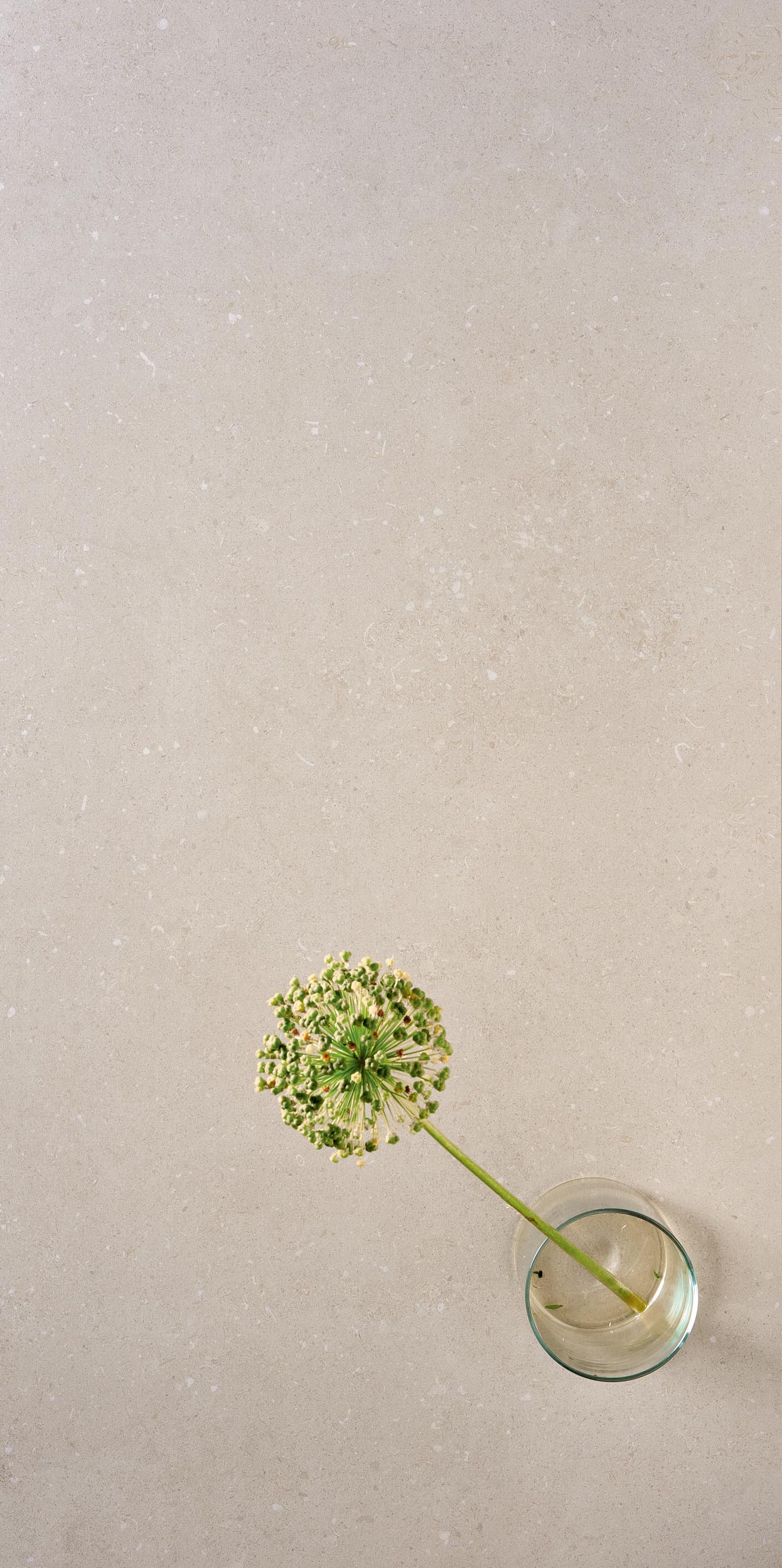 Superclassica SCB Natural 60x120 24"x48"