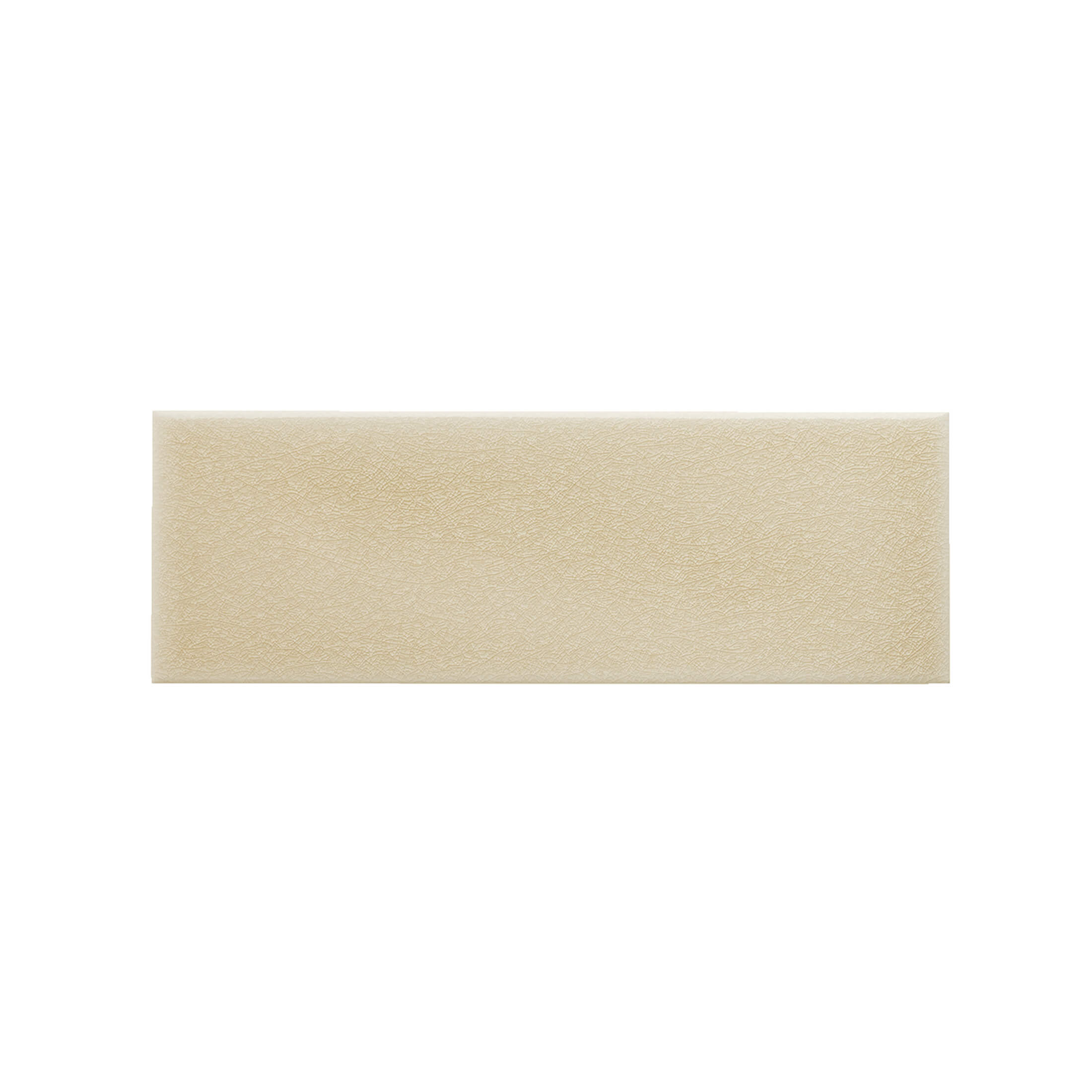 LISO SAND DOLLAR
