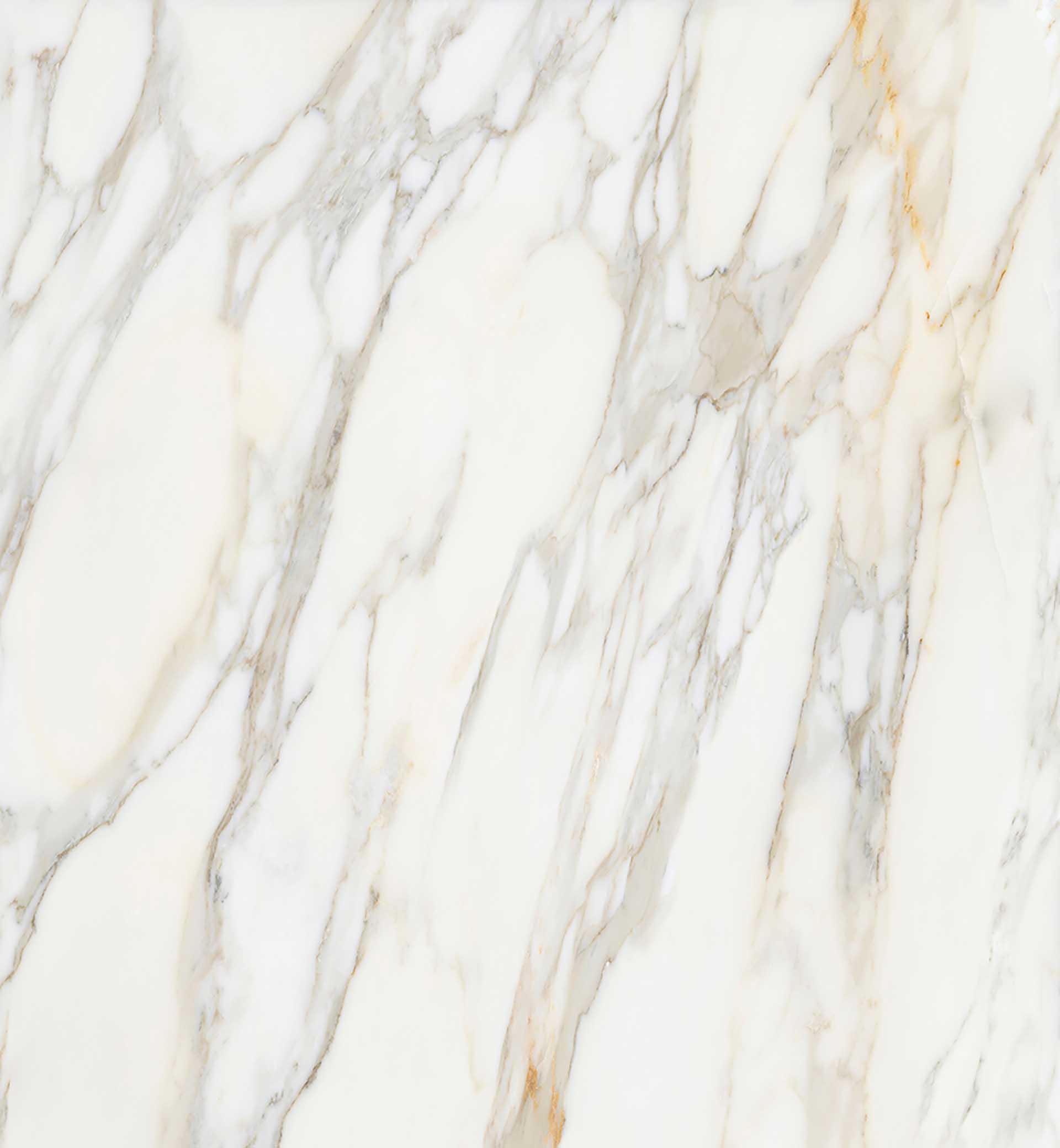 Borghini White Polished