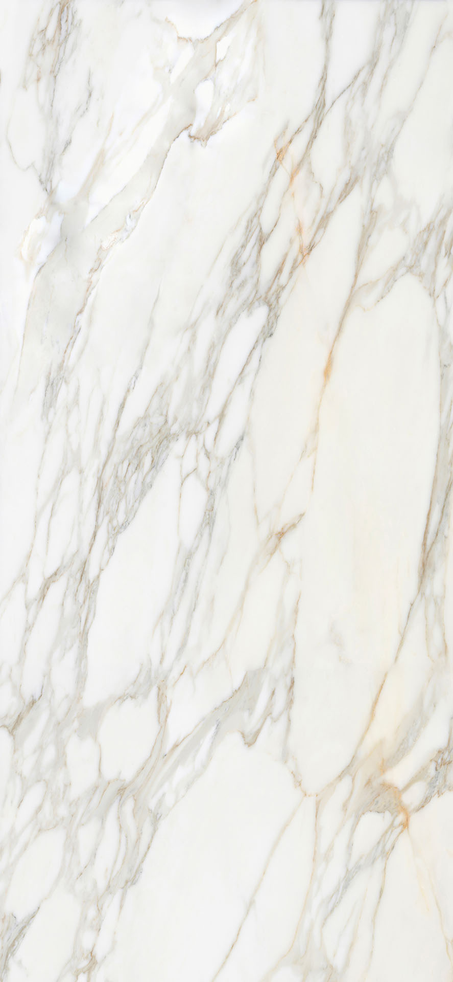 Borghini White Polished