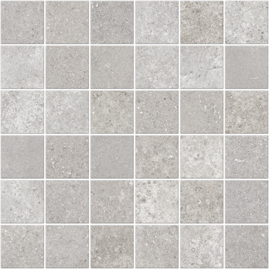 Focus Grey Nat Mos 30X30 30×30 см - коллекция Focus, Apavisa
