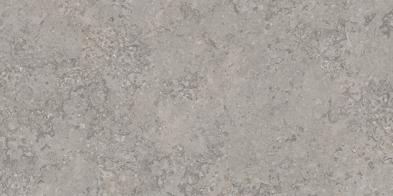 Керамогранит Tile Tuscany Graphite Natural 50×100 см - коллекция Tuscany, Apavisa