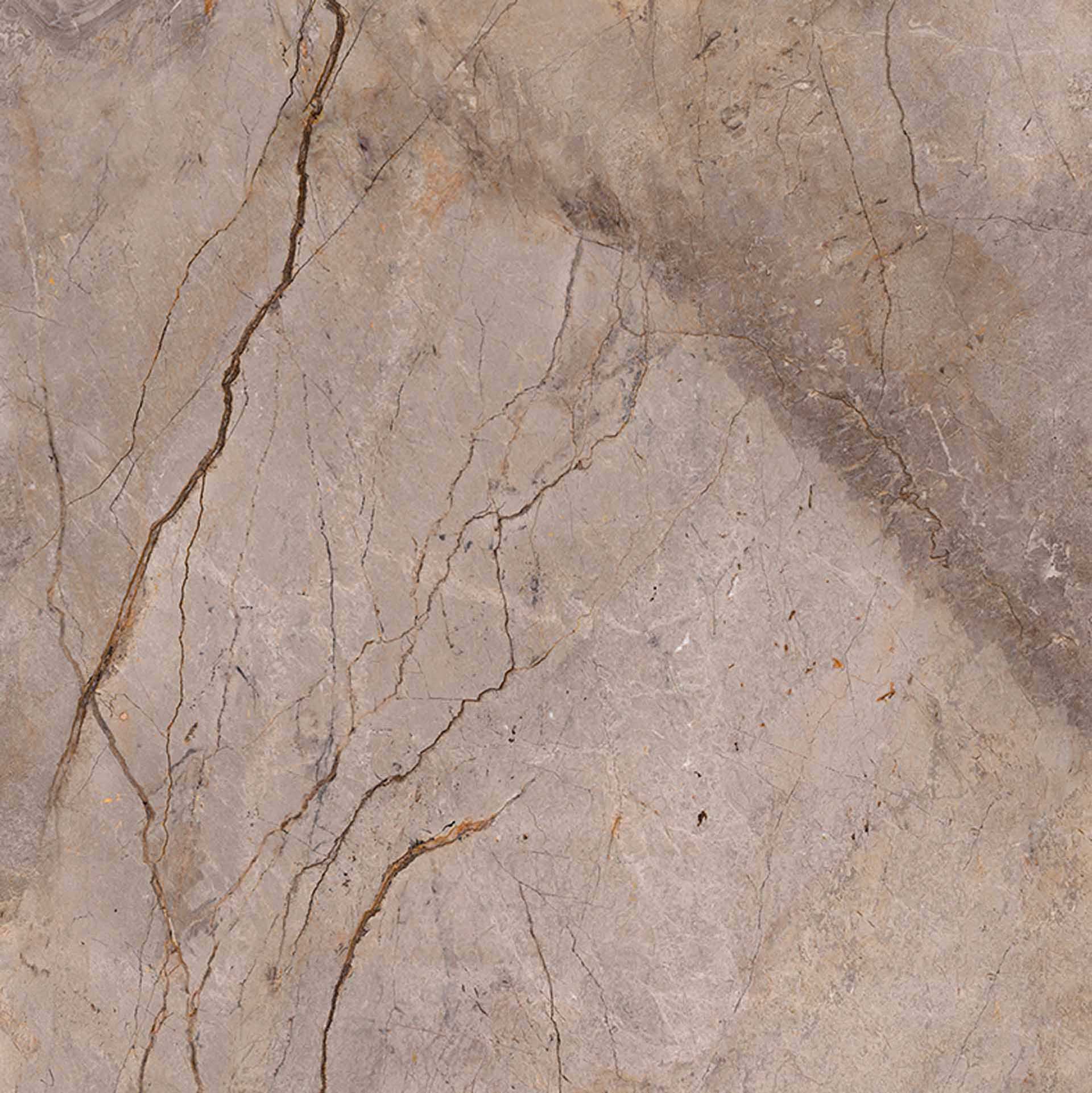 Wild Forest Grey Pol Mix
