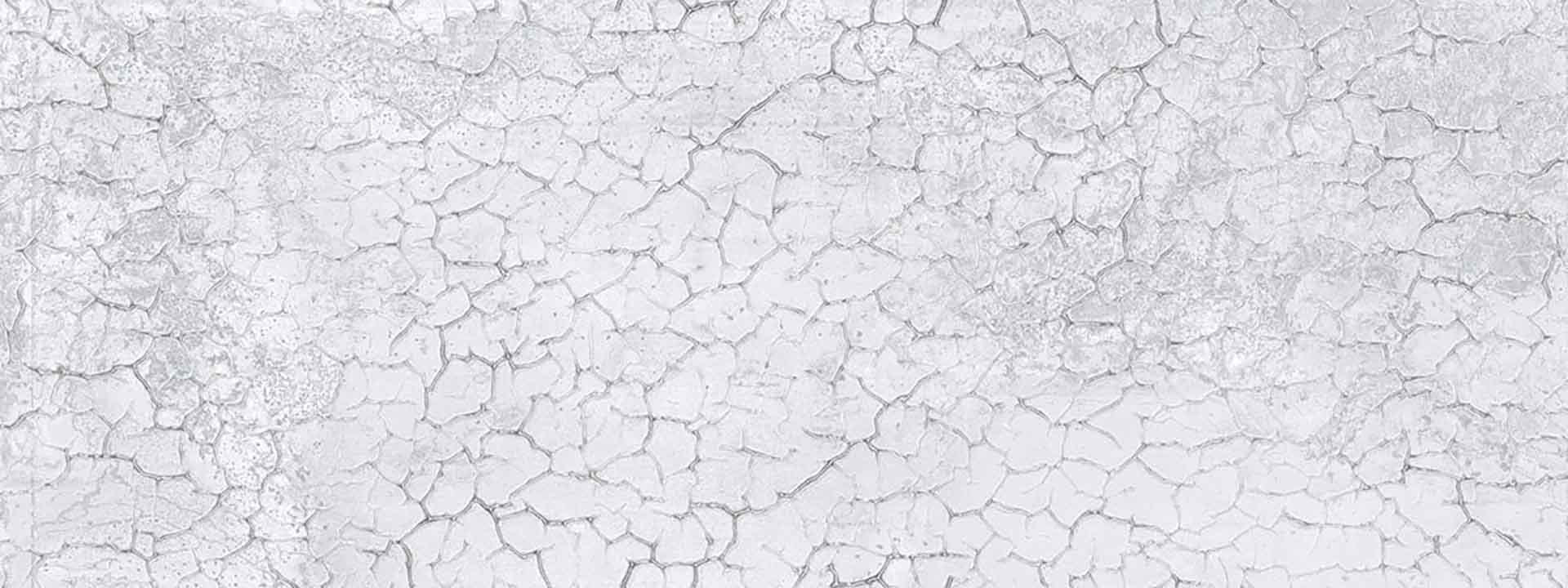 Zinc White Crack