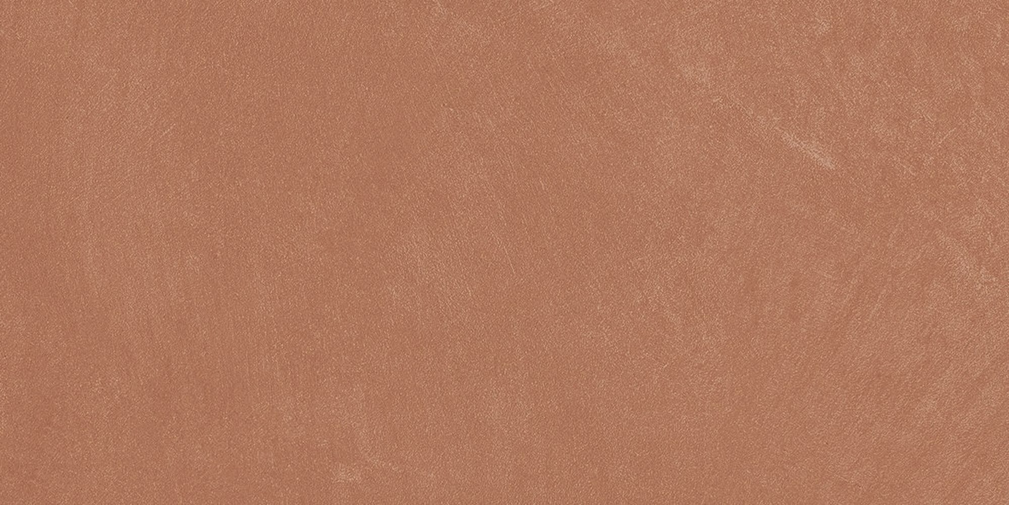 Argillae Coral Rect.