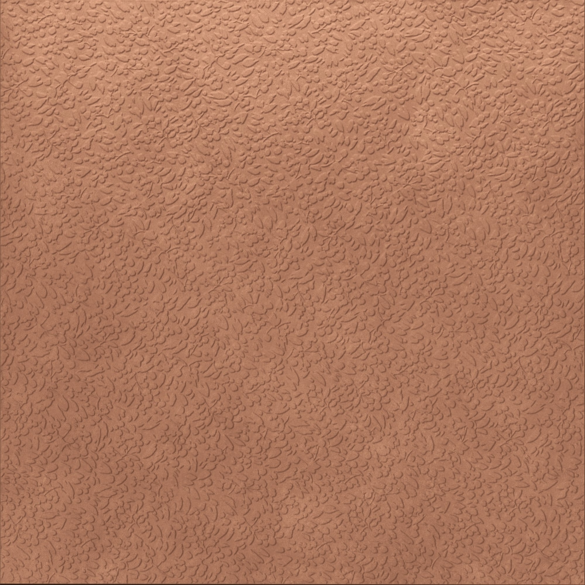 Nisus Coral Rect.