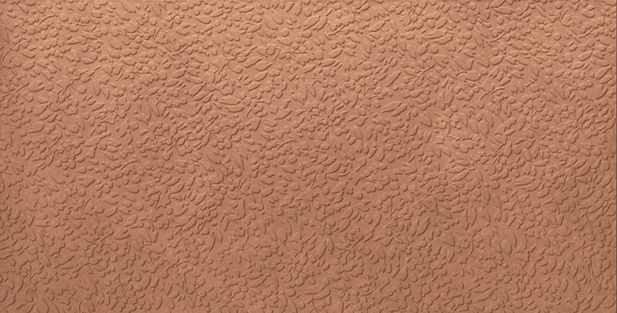 Nisus Coral Rect.