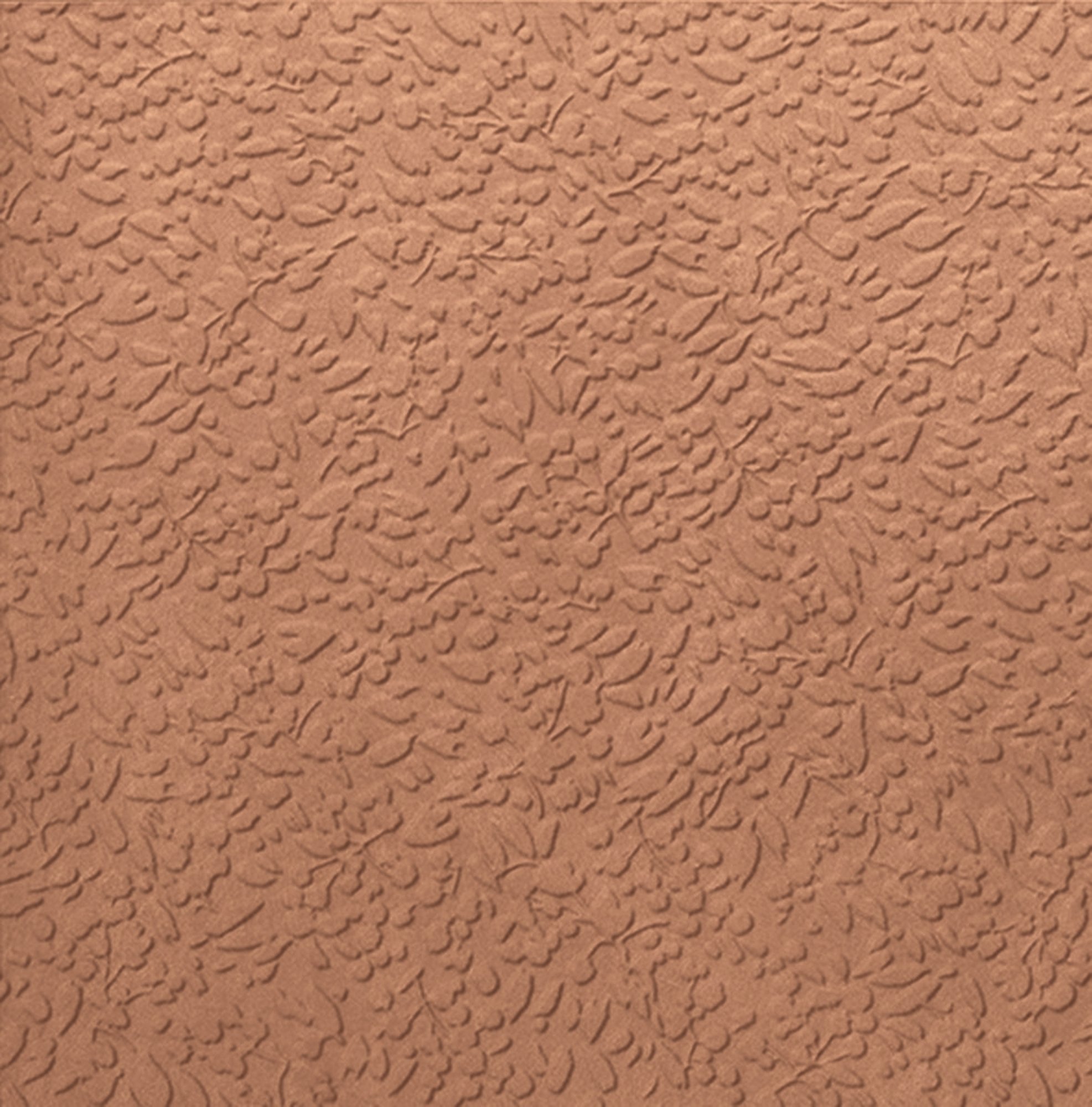 Nisus Coral Rect.