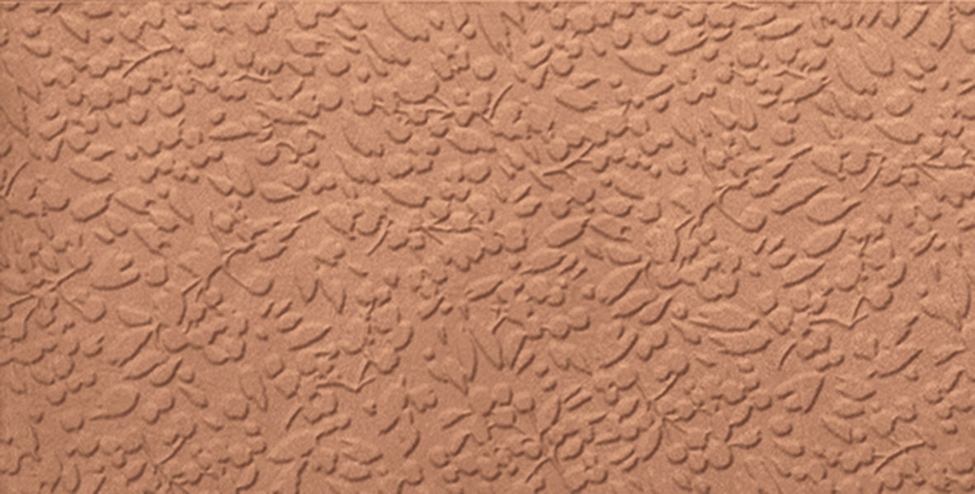 Nisus Coral Rect.