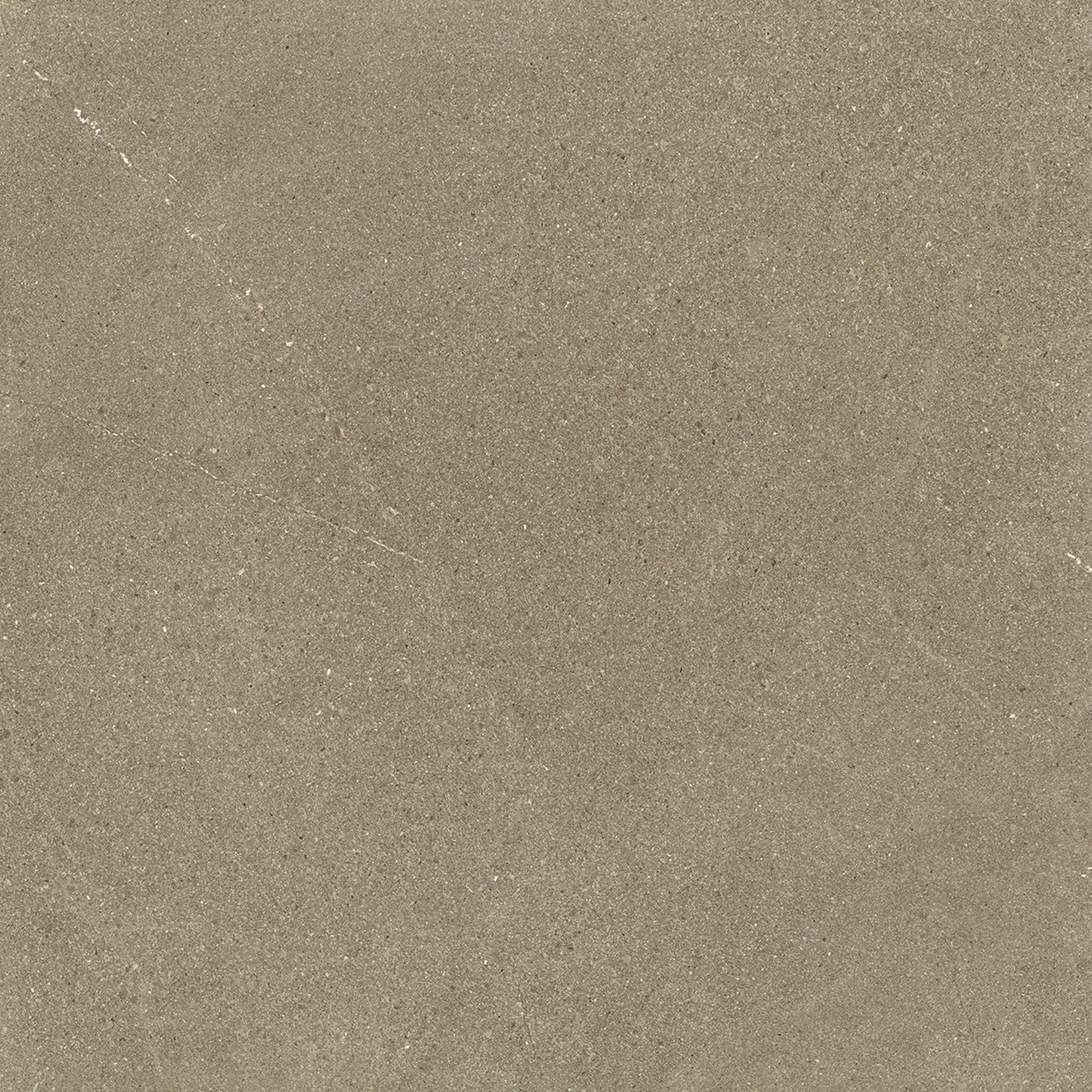 Burlington Taupe Rect.
