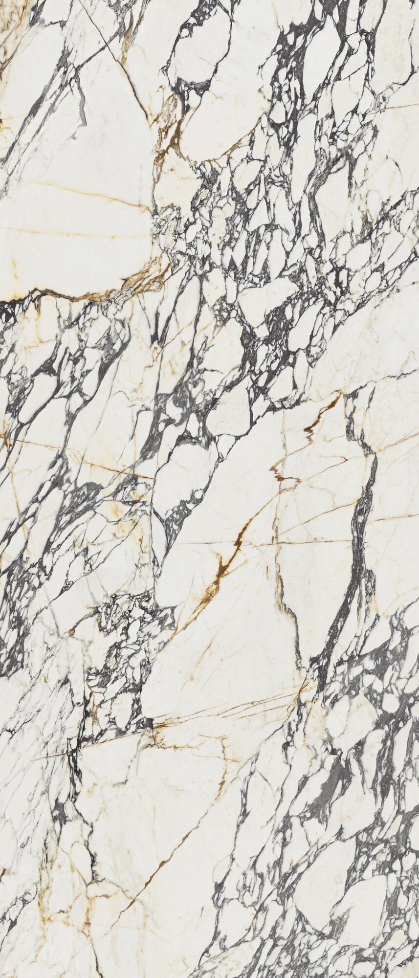 Calacatta Corchia Gold Soft