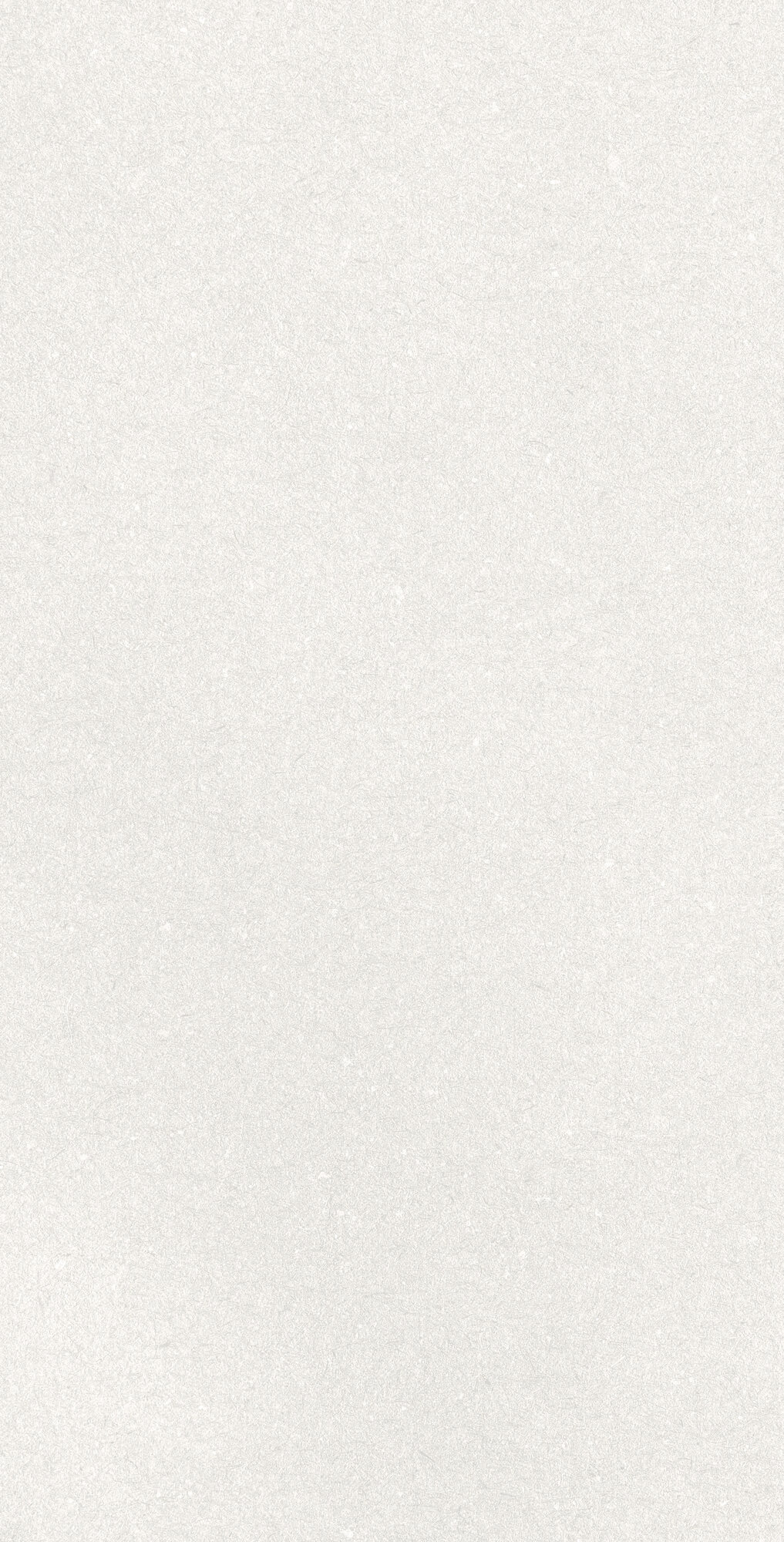Керамика (white body) Caprice White Rect. 60×120 см