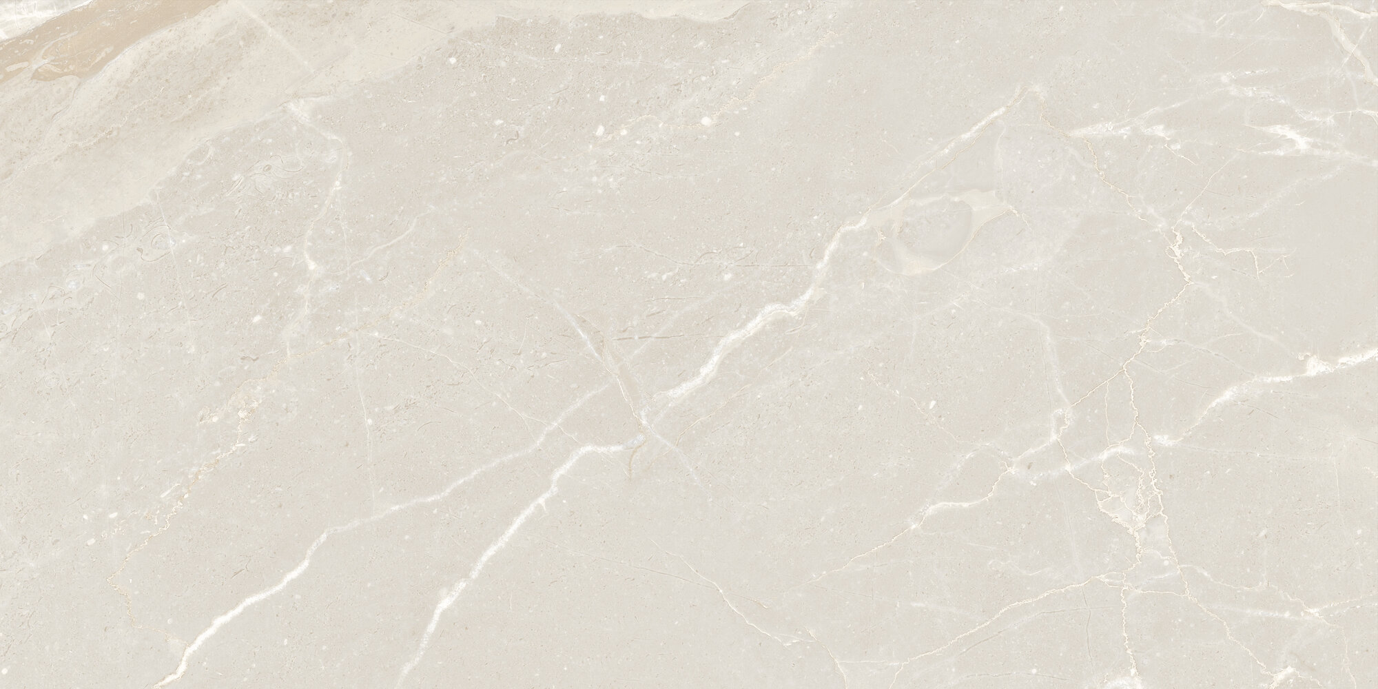 Керамогранит Colemanite Stone Light Rect. 60×120 см
