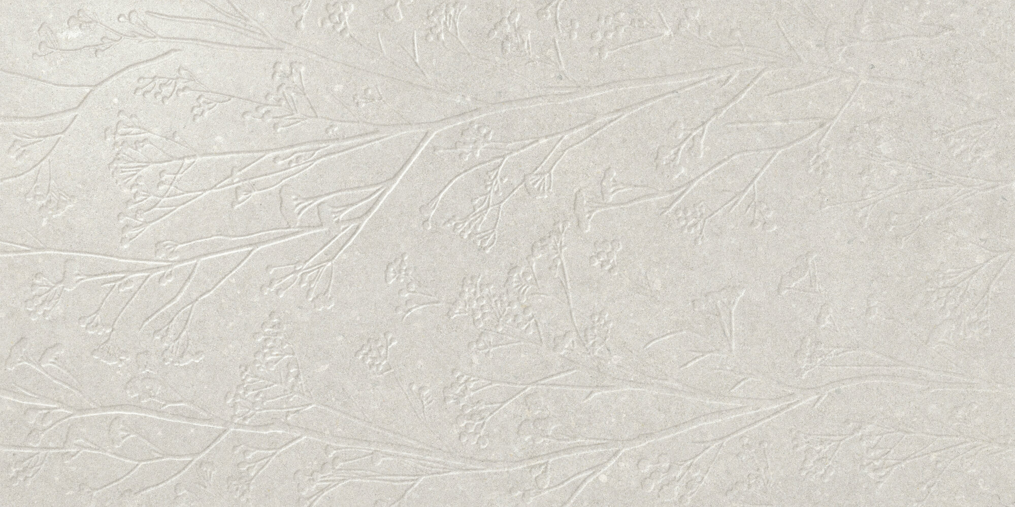 Керамика (white body) Divine White Rect. 60×120 см - коллекция GREYSTONE, APE