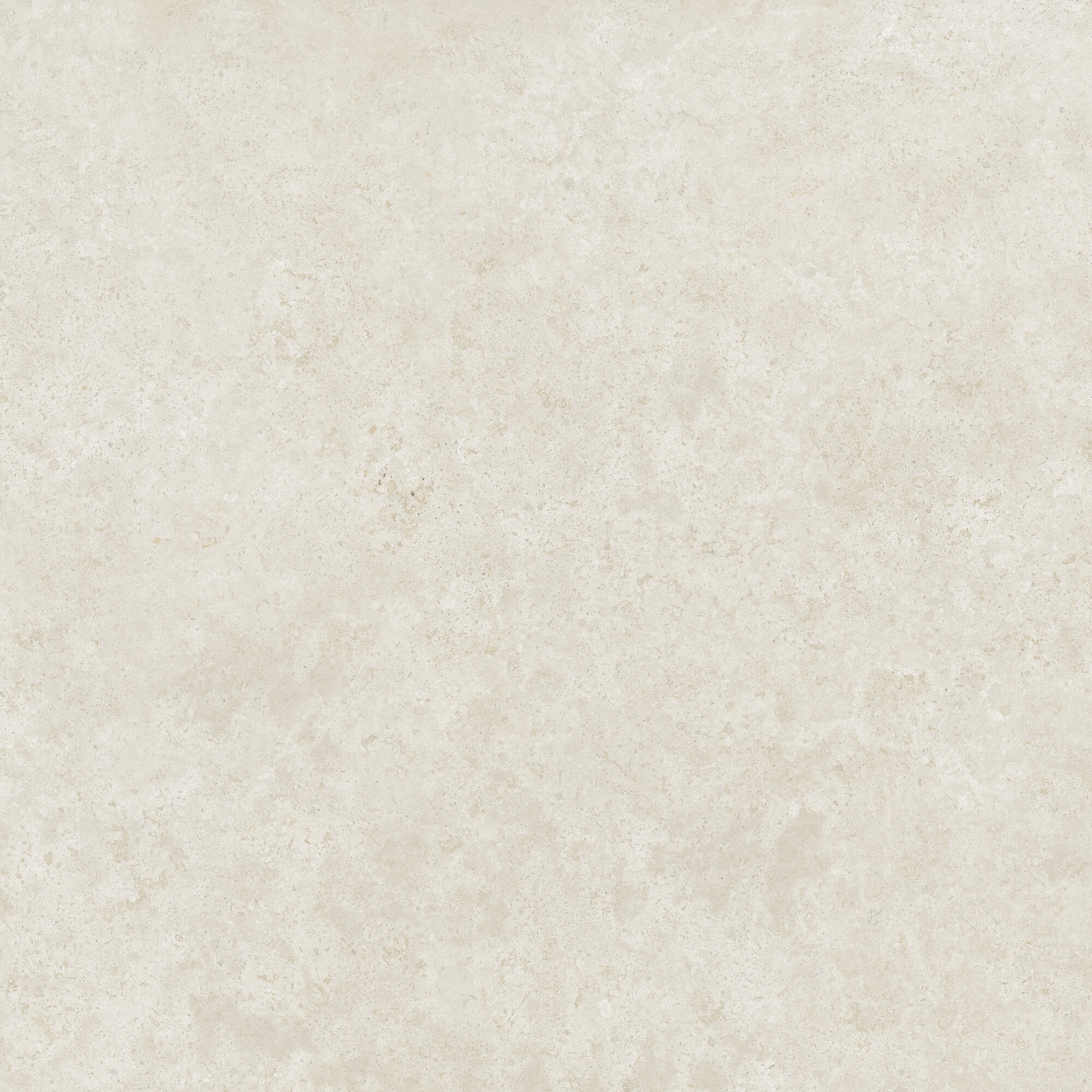 Kasta White C2