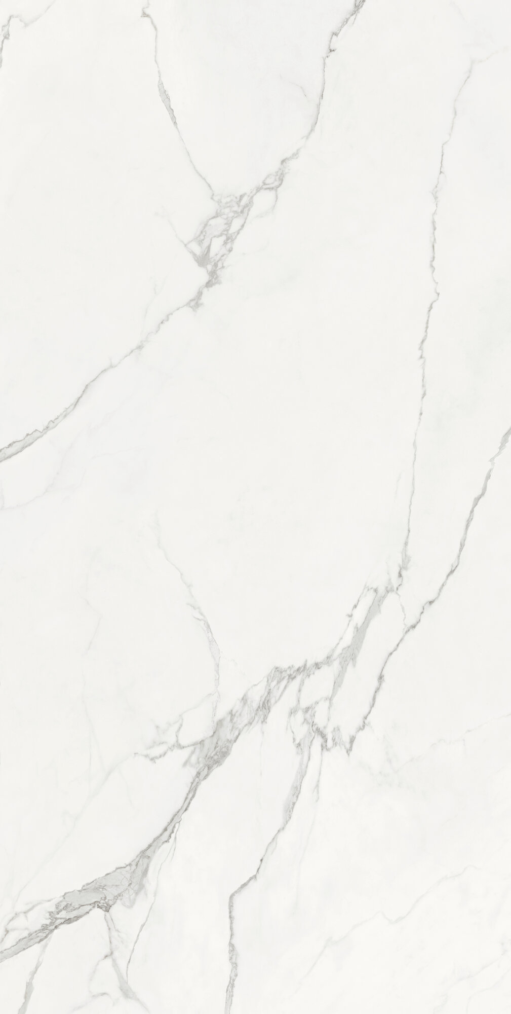 Luna Blanca Pol B