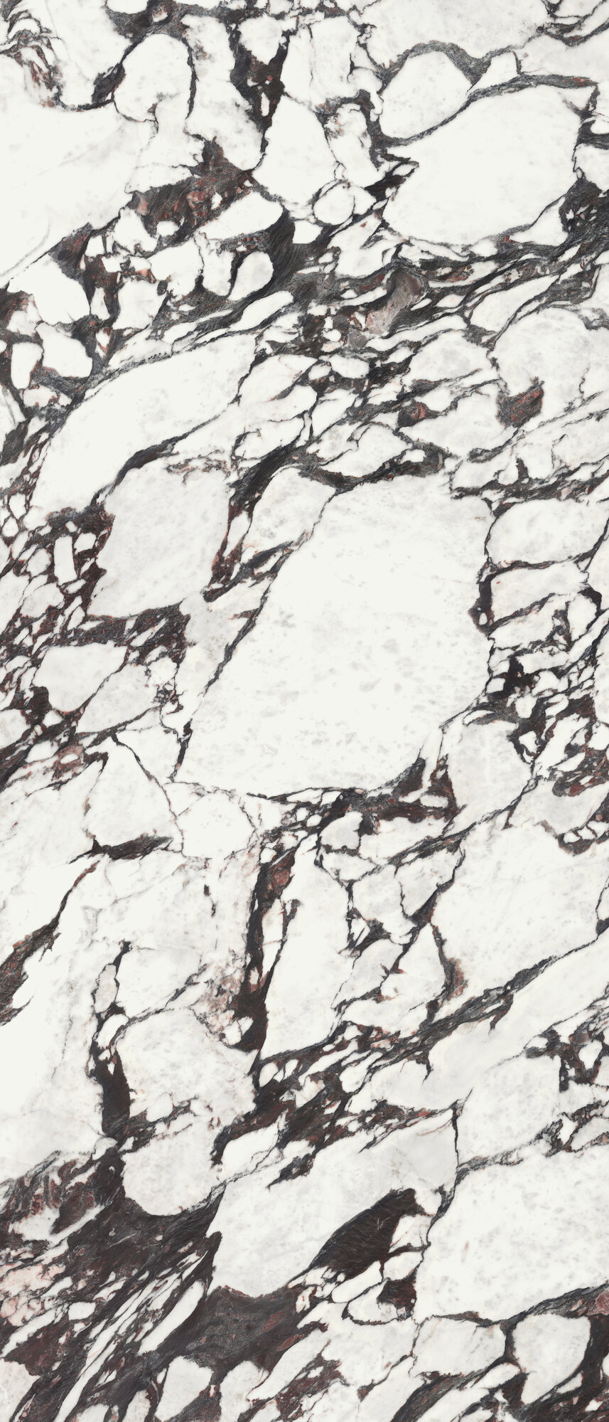 Medicea Marble Pol Rect.