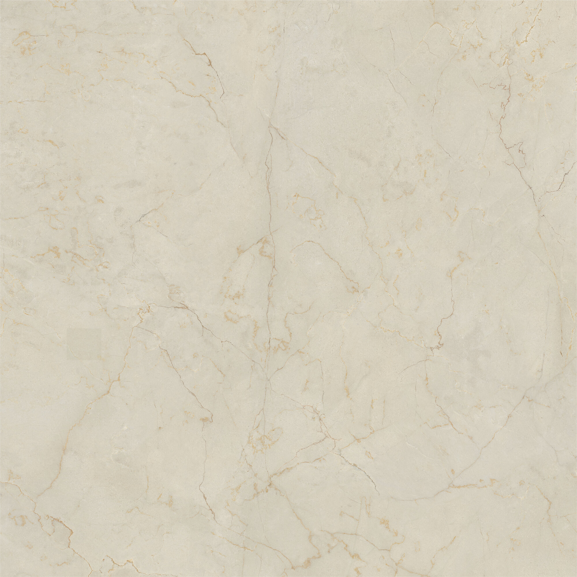 Monte Coto Ivory Pol
