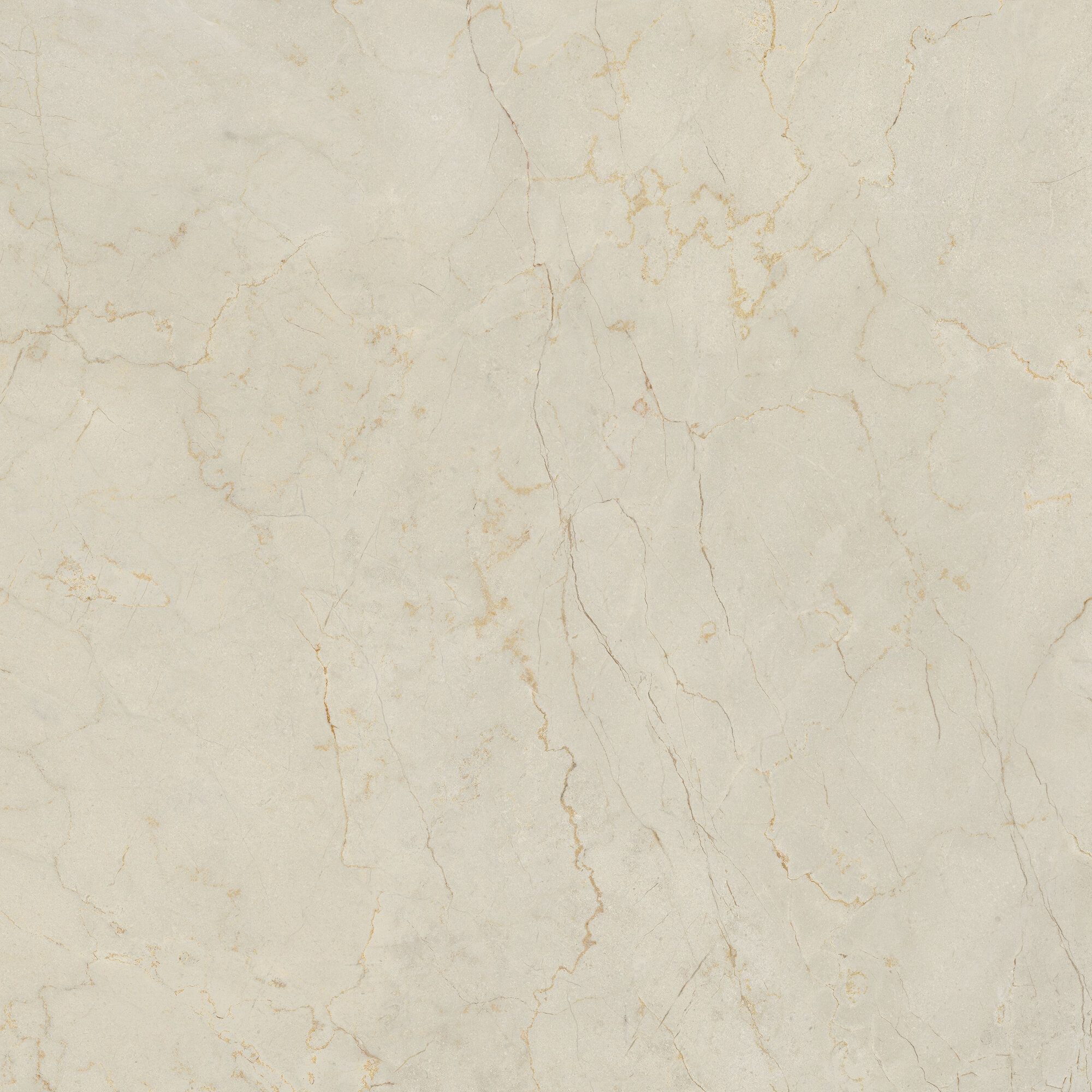 Керамогранит Monte Coto Ivory C2 Matt 80×80 см - коллекция MONTE COTO, APE