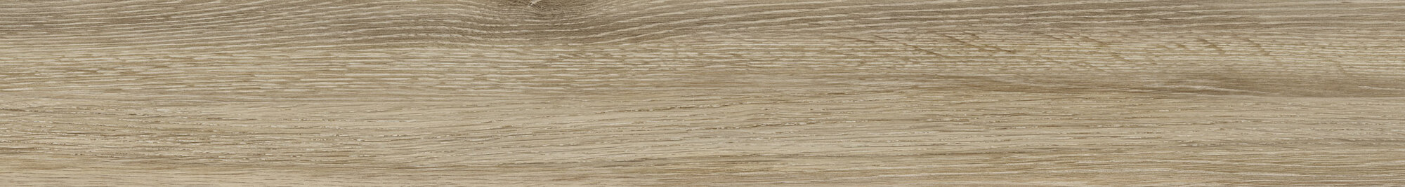 Rod. Sequoia Birch