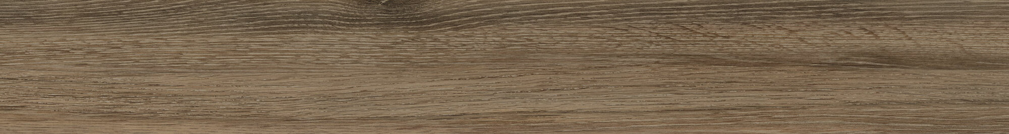 Rod. Sequoia Cherry Tree