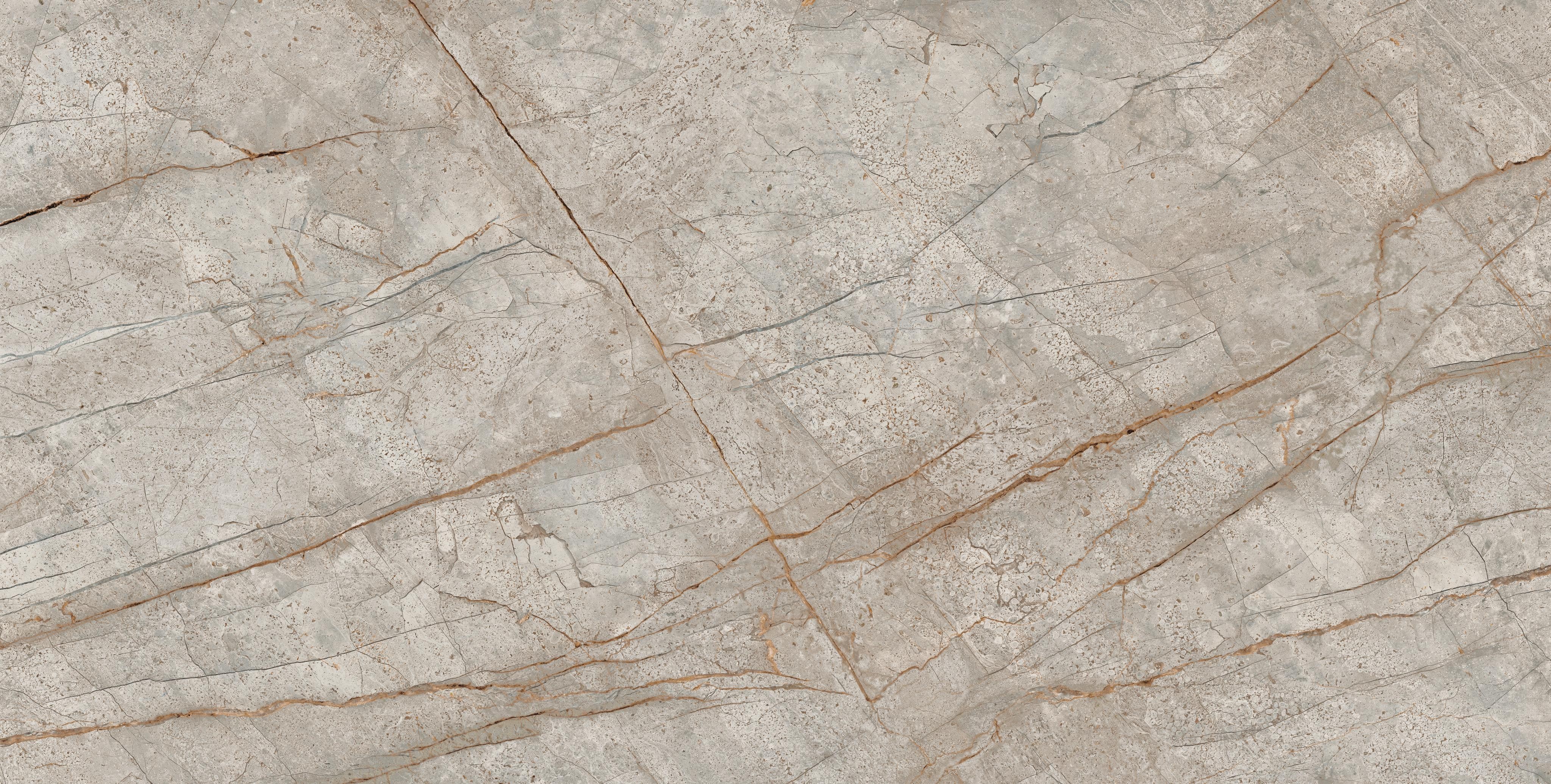EMPIRE SILVER ROOT 80x160