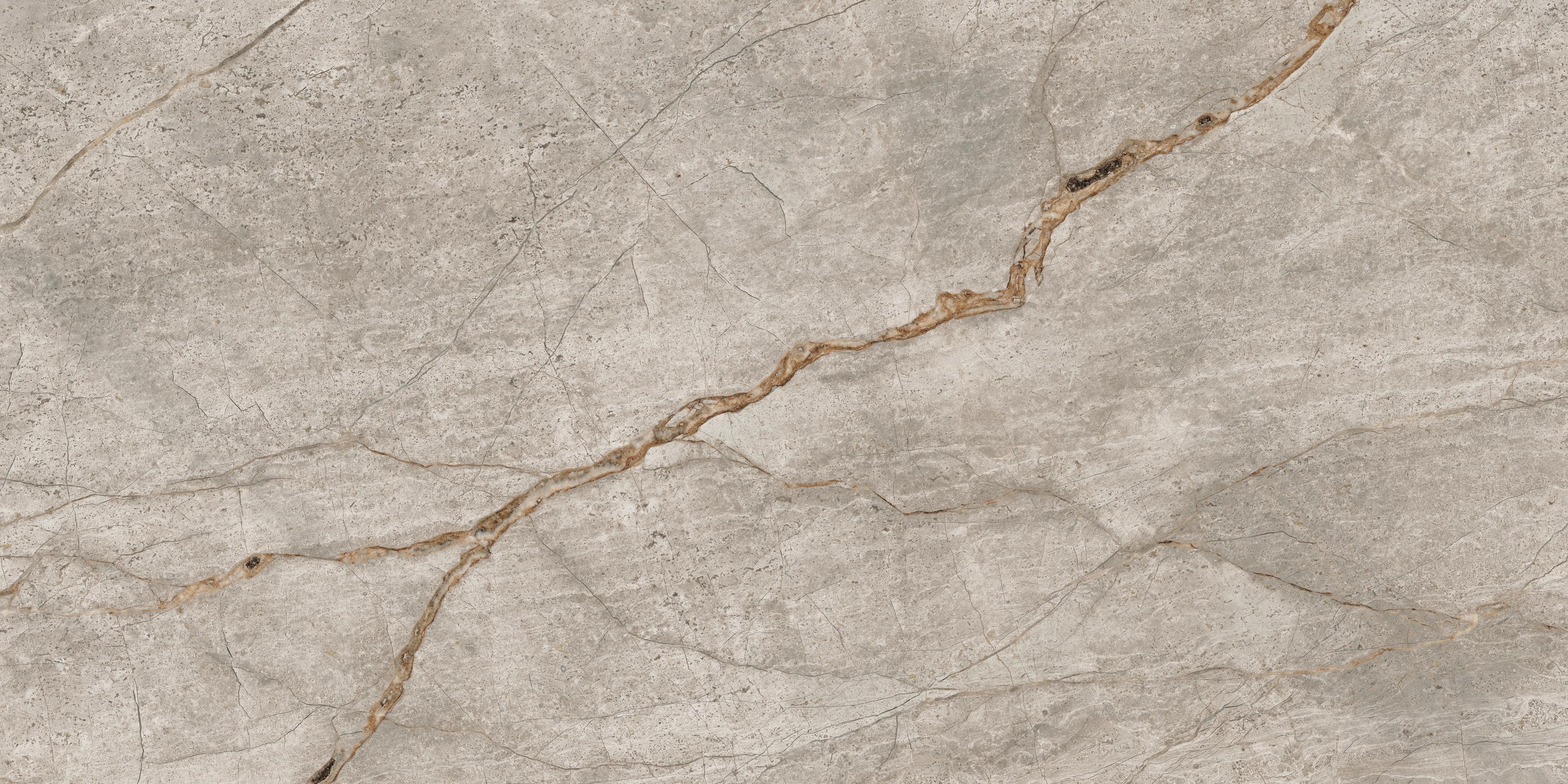 EMPIRE SILVER ROOT Rett 60x120 Lapp