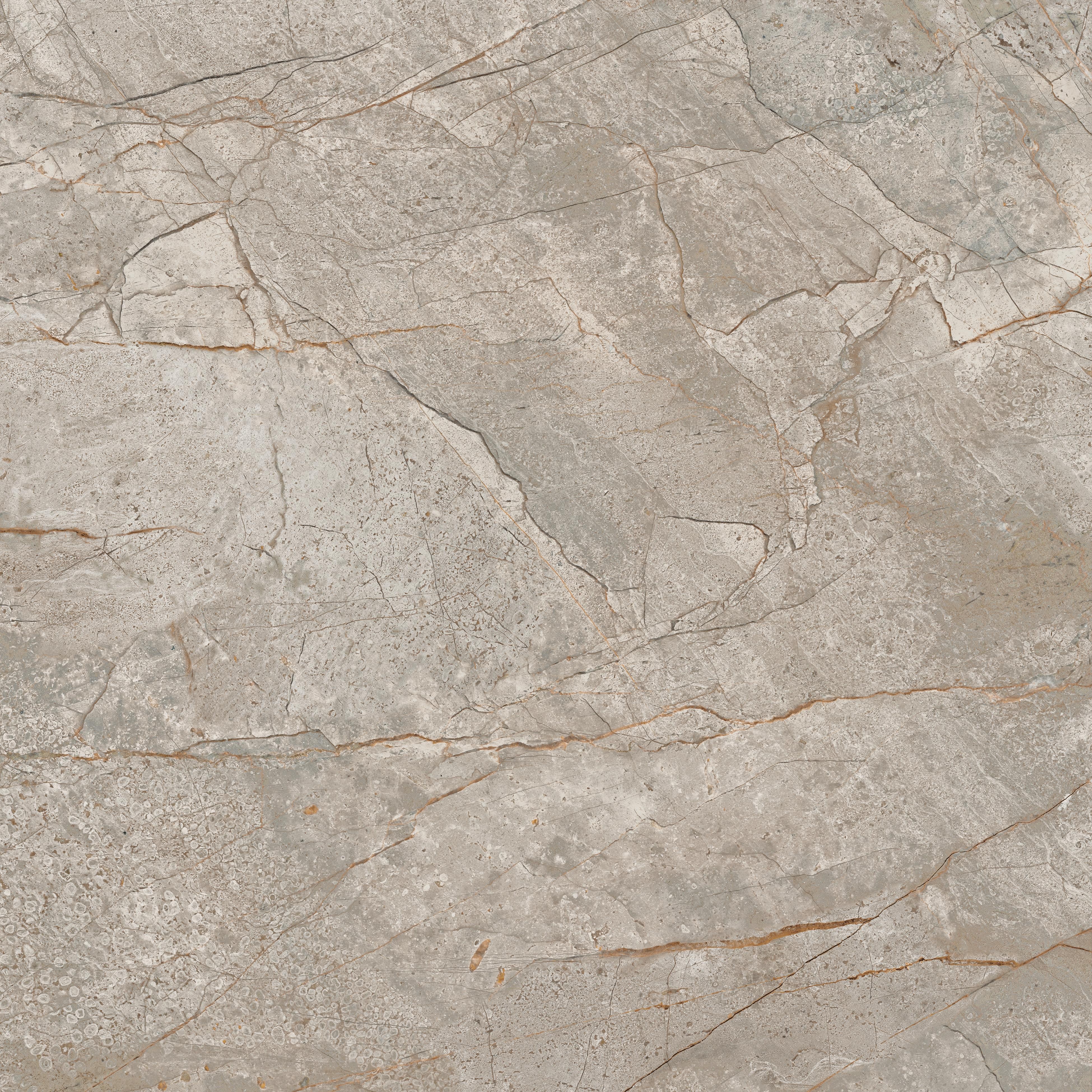 Керамогранит Empire Silver Root 60x60 Lapp 60×60 см - коллекция Empire, Atlas Concorde Russia