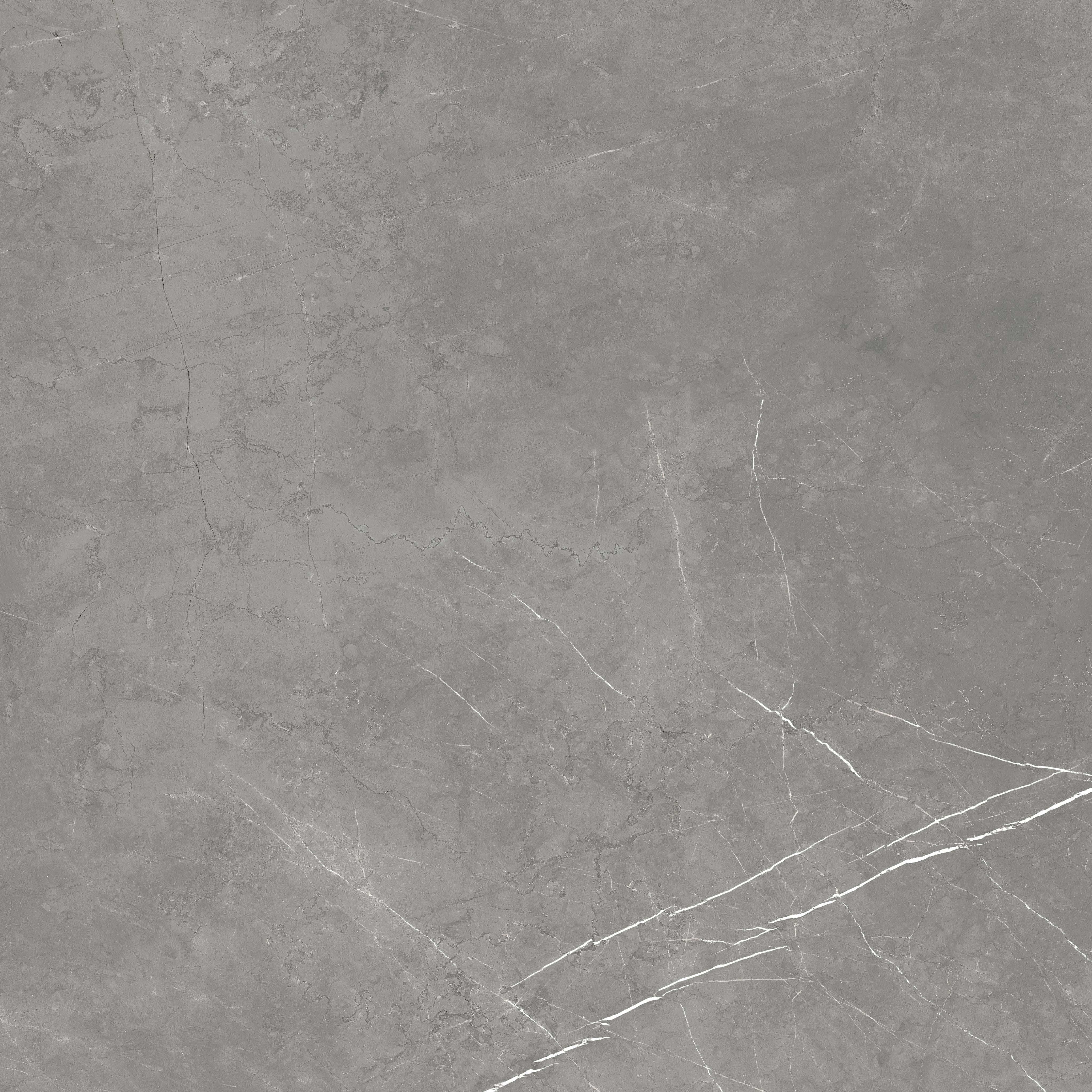 Керамогранит Forte dei Marmi Elegant Grey Rett 80x80 80×80 см - коллекция Forte dei Marmi, Atlas Concorde Russia