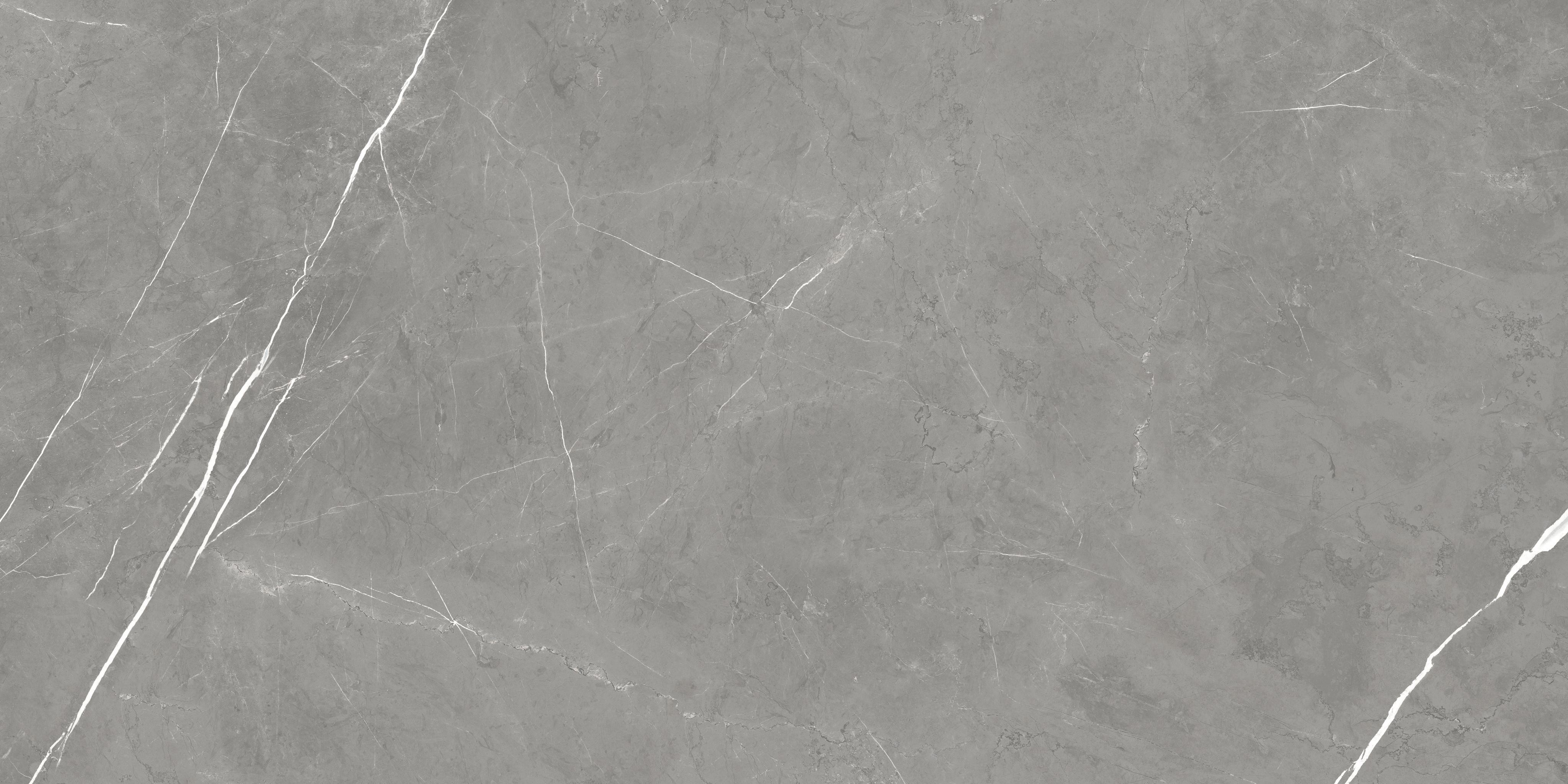 Forte dei Marmi Elegant Grey 60x120