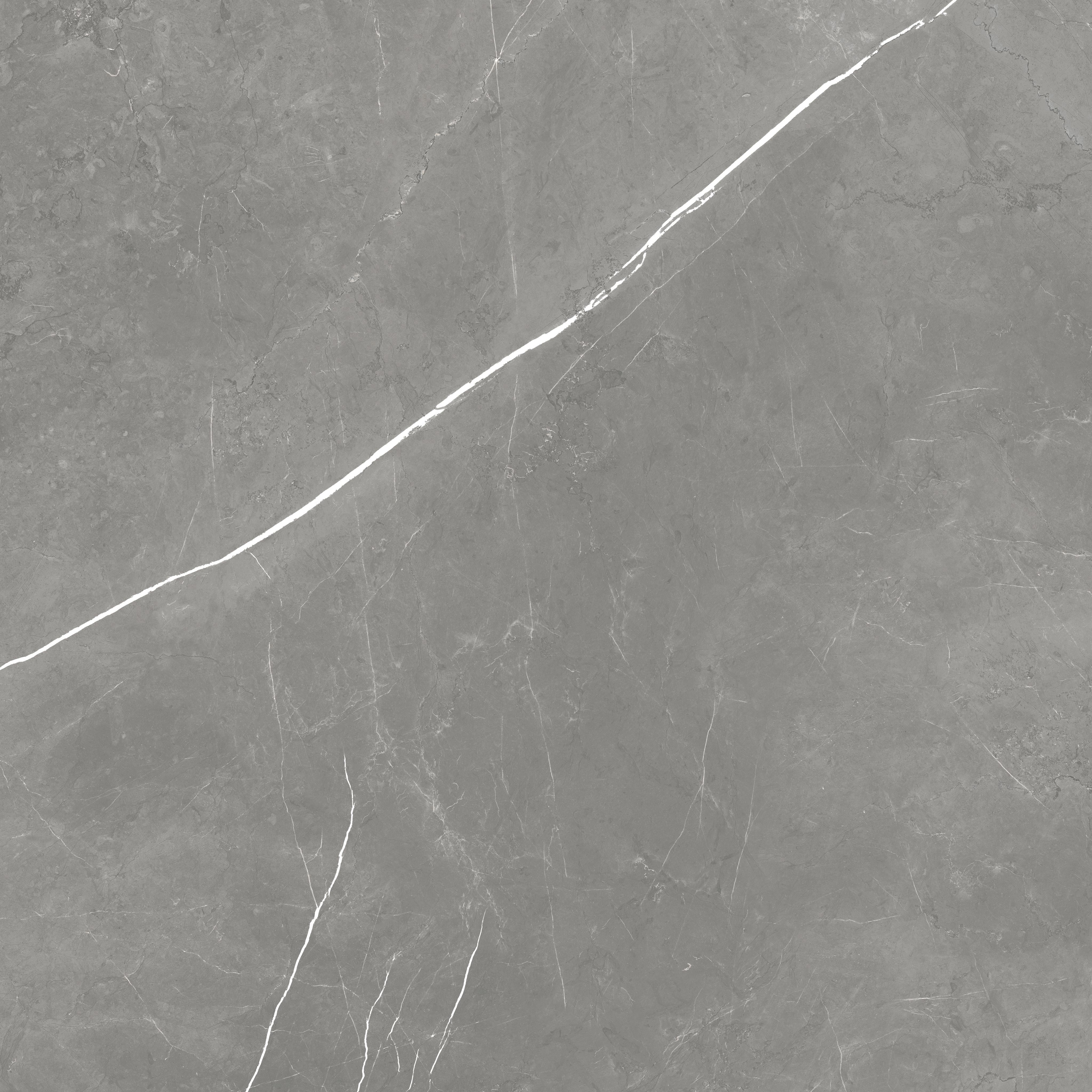 Керамогранит Forte dei Marmi Elegant Grey 80x80 Lapp 80×80 см - коллекция Forte dei Marmi, Atlas Concorde Russia