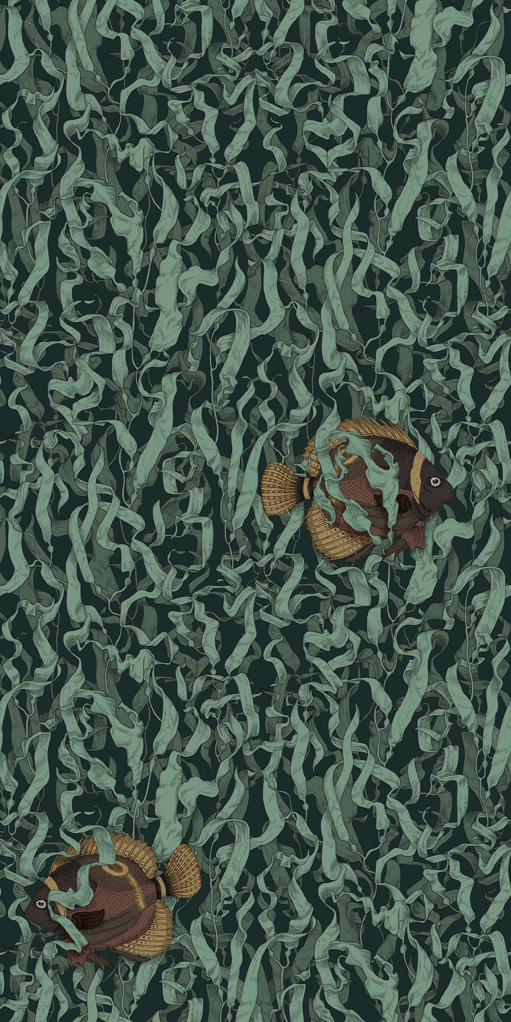 Керамогранит Декор Seaweed 60×120 см