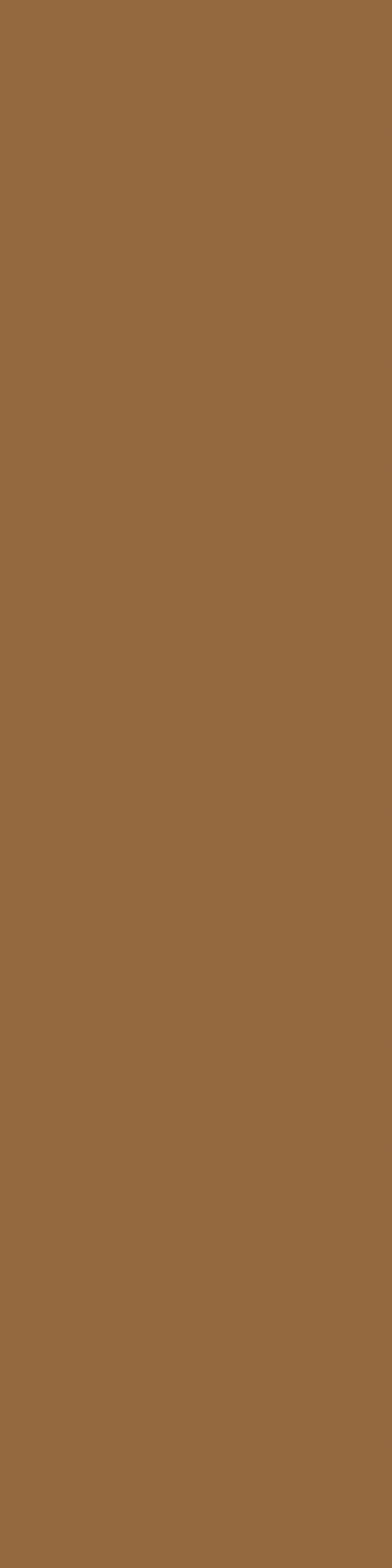 Керамика Marrone 10×40 см - коллекция Cromia, Ceramica Bardelli