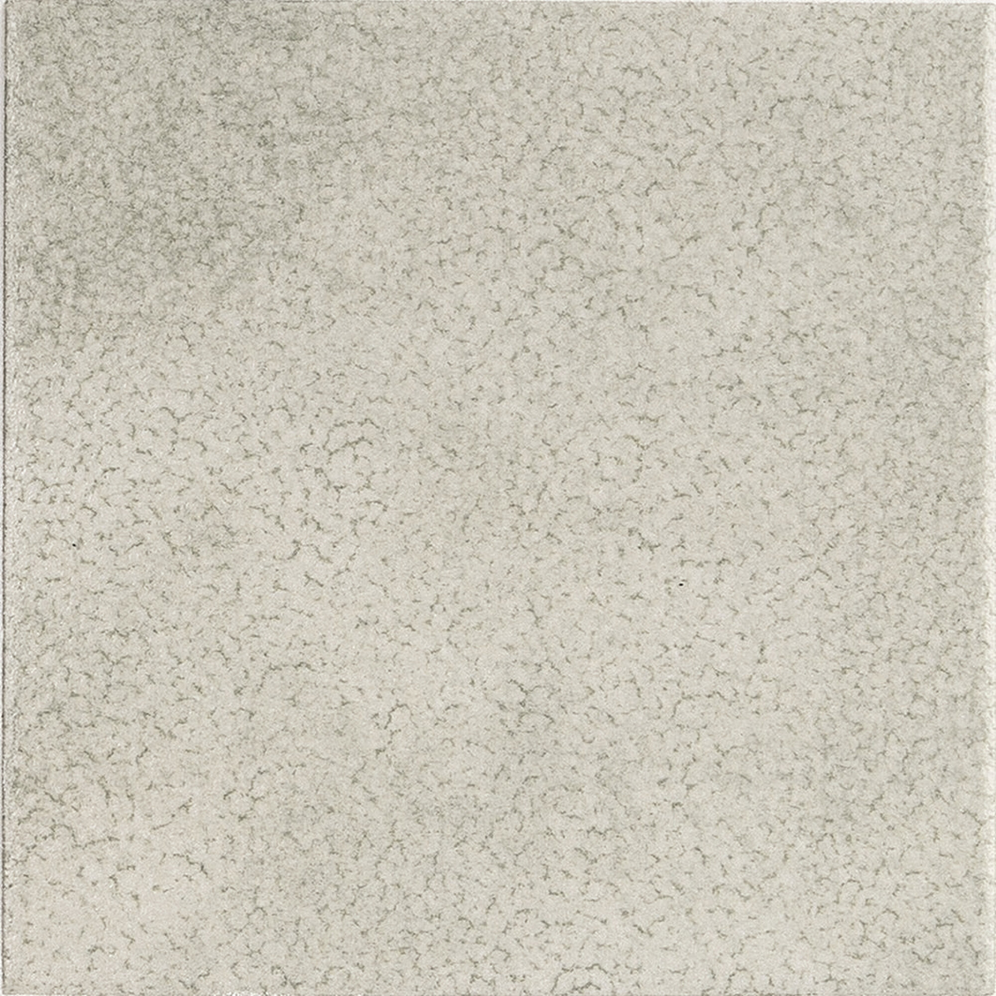 CAPRI NEUTRAL