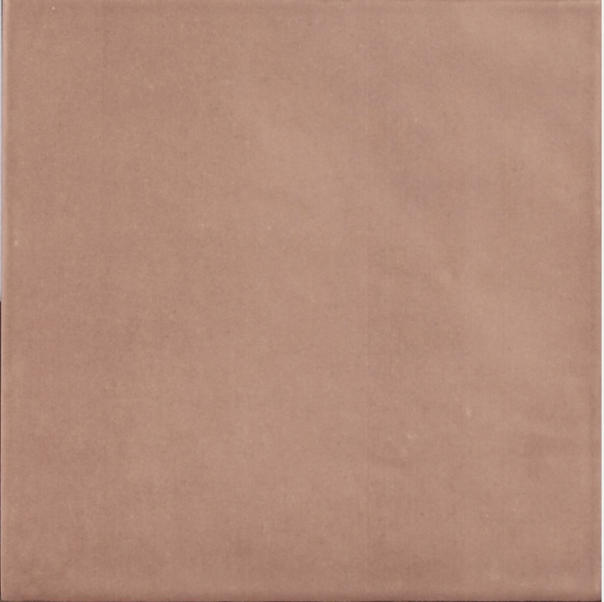 CONTEMPORARY ASH ROSE