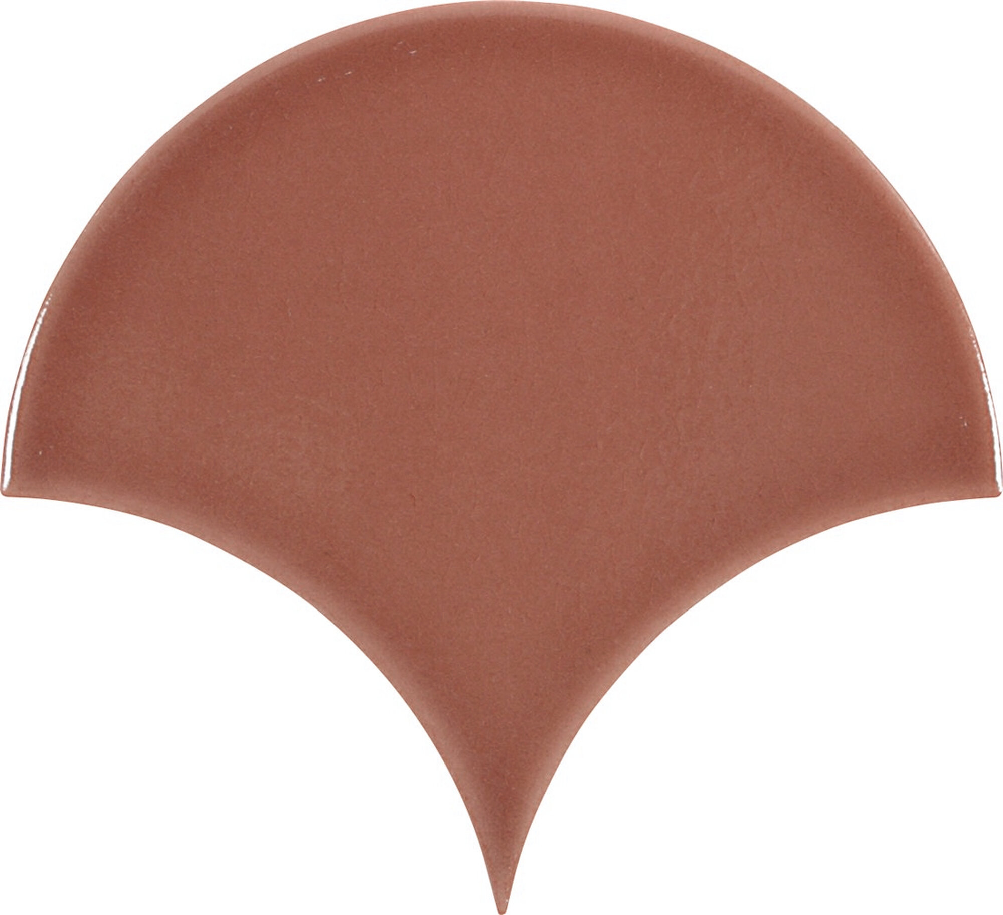 ESCAMAS DYNAMIC CORAL