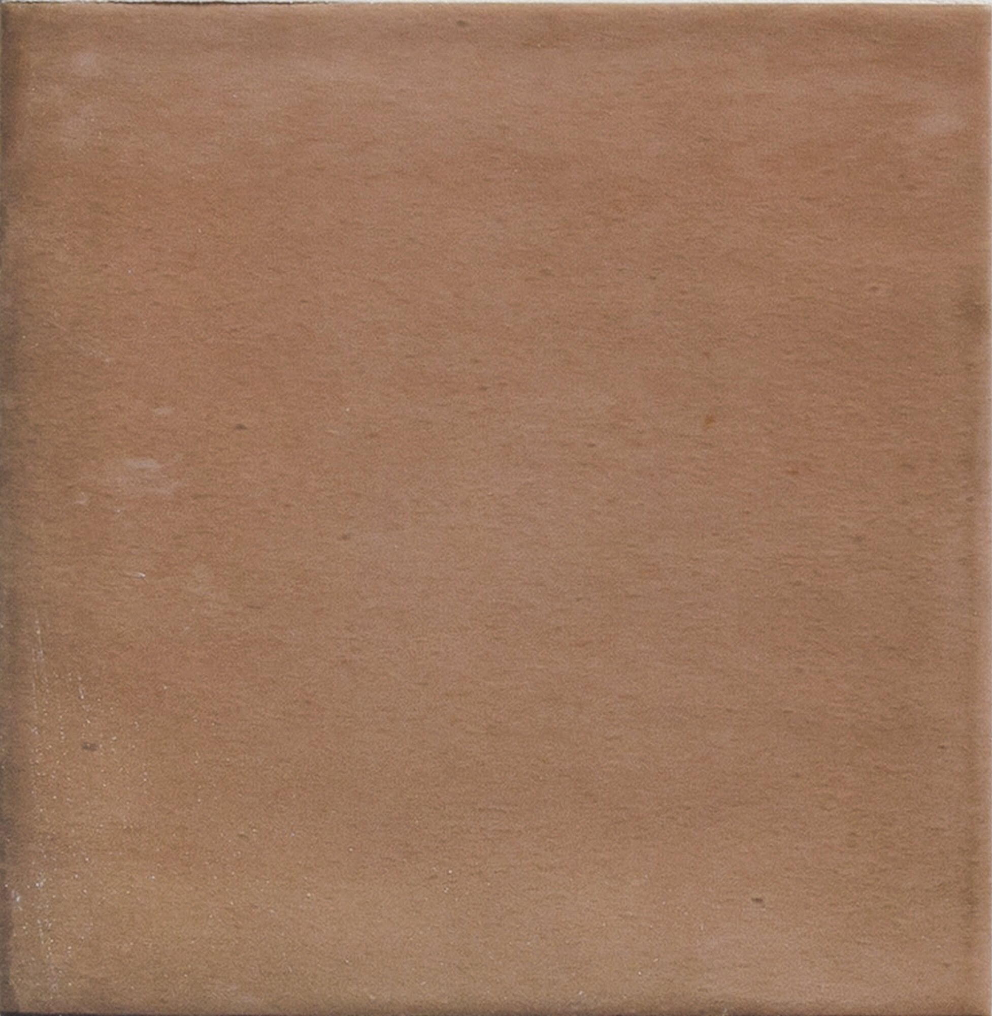 CLAY SALMON