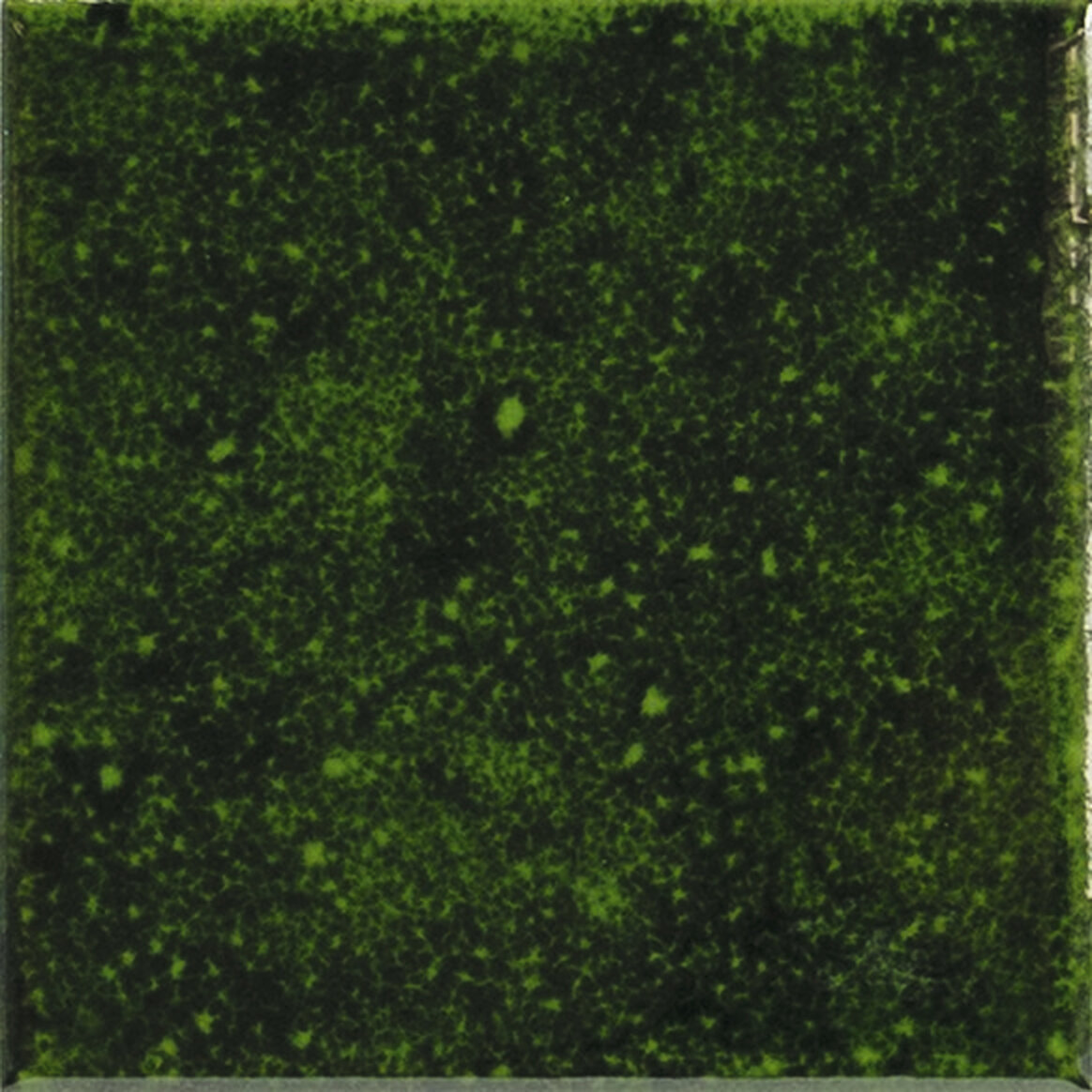 GENUINE EMERALD