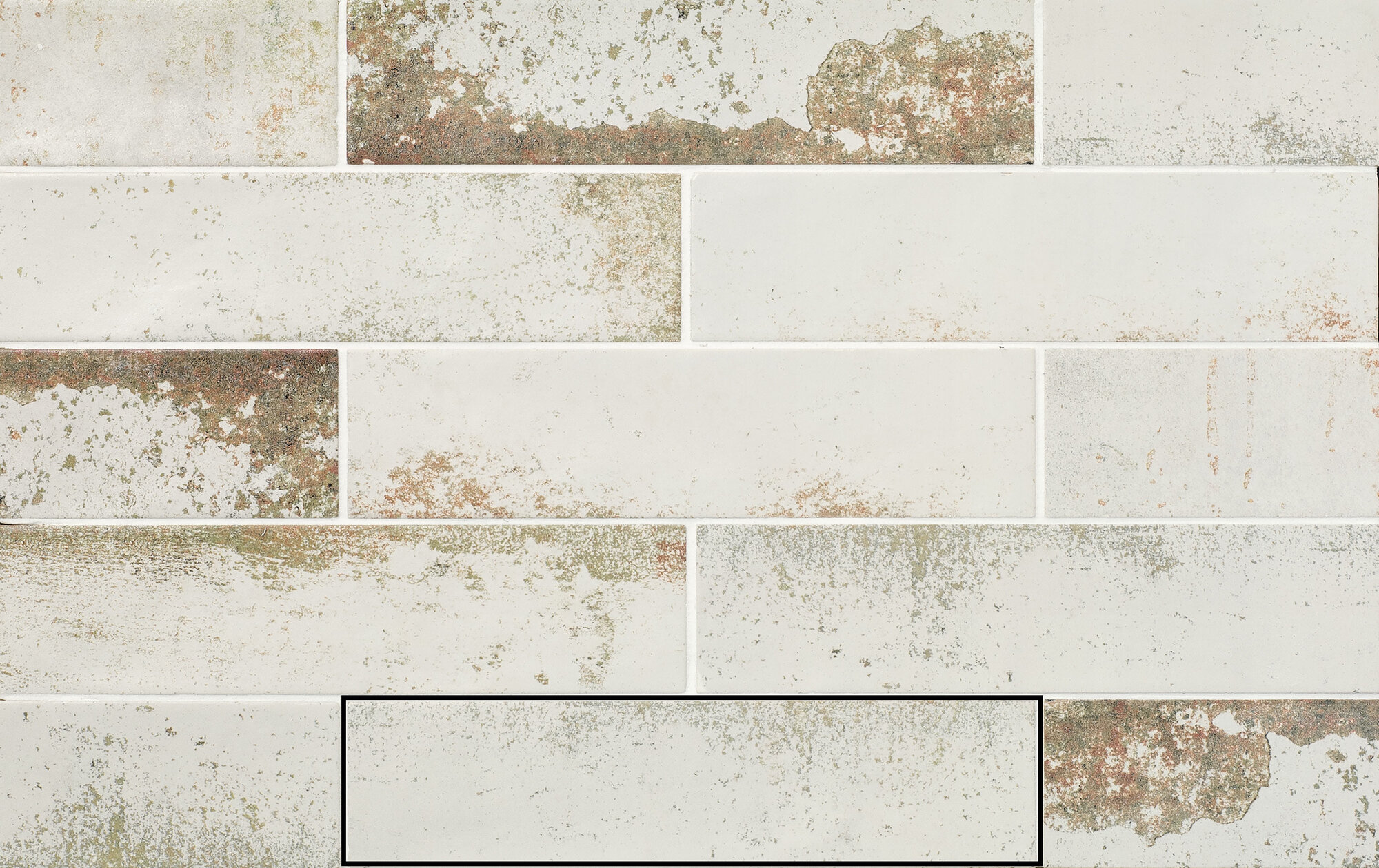MAGNETISM WHITE
