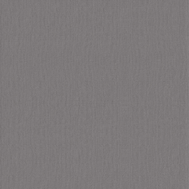Texture Canvas Antracite Canvas