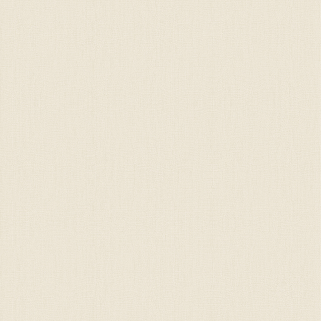 Texture Canvas Beige Canvas
