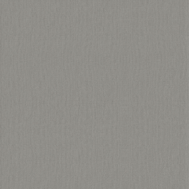 Texture Canvas Grey Canvas