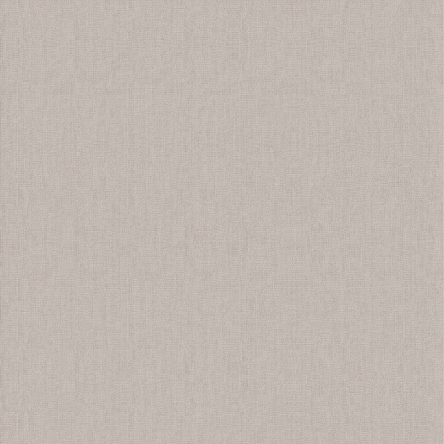 Texture Canvas Taupe Canvas