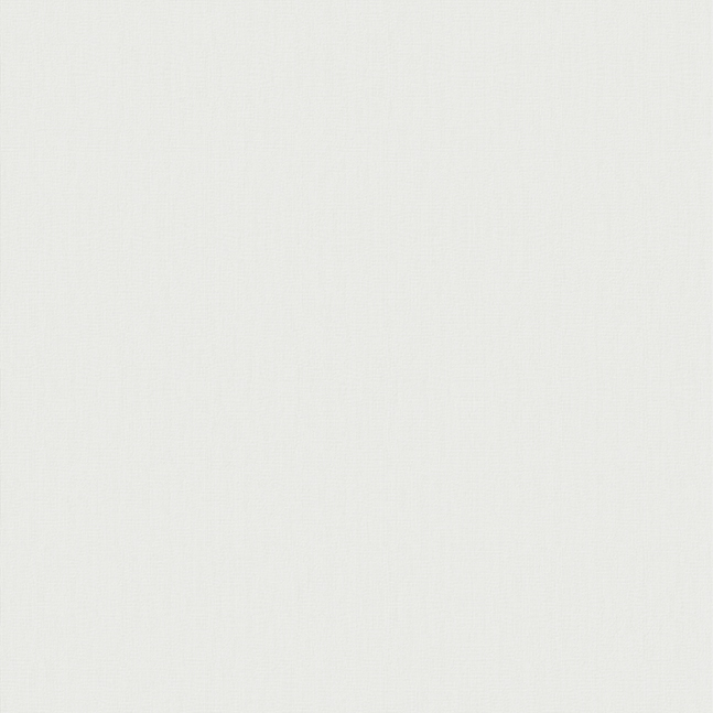 Texture Canvas White Canvas