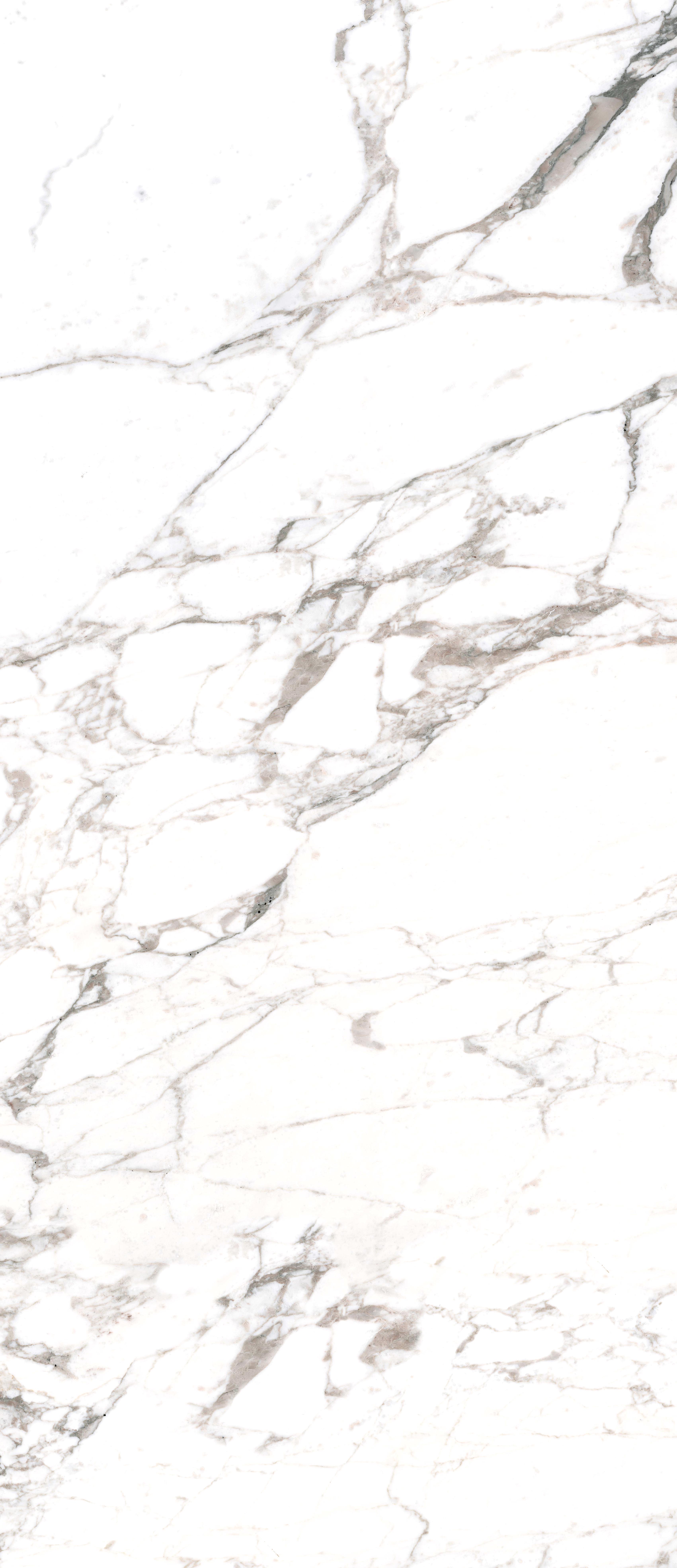 Calacatta Extra 6мм Lucida